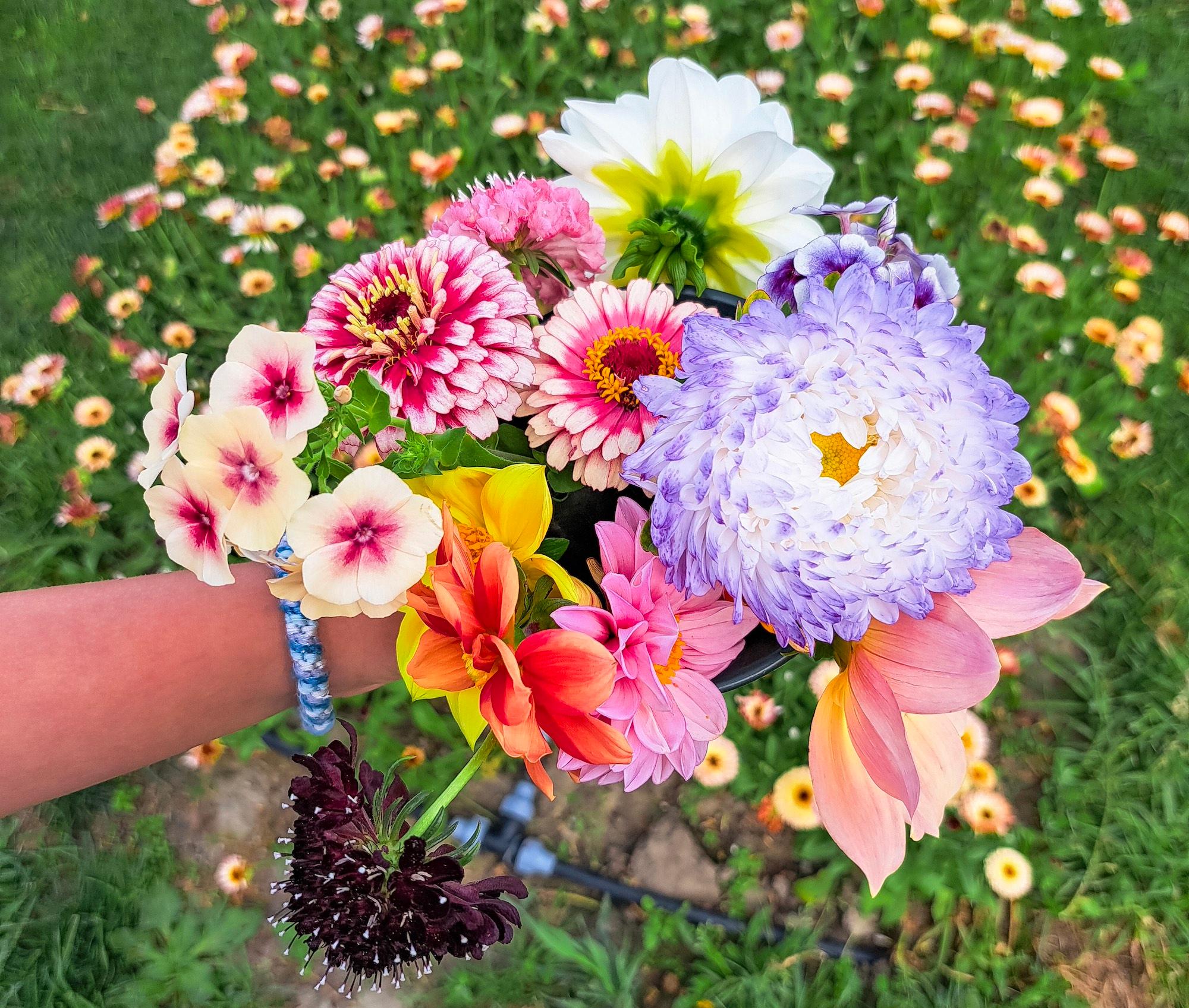 Boeket bloemen pluktuin Zeeland