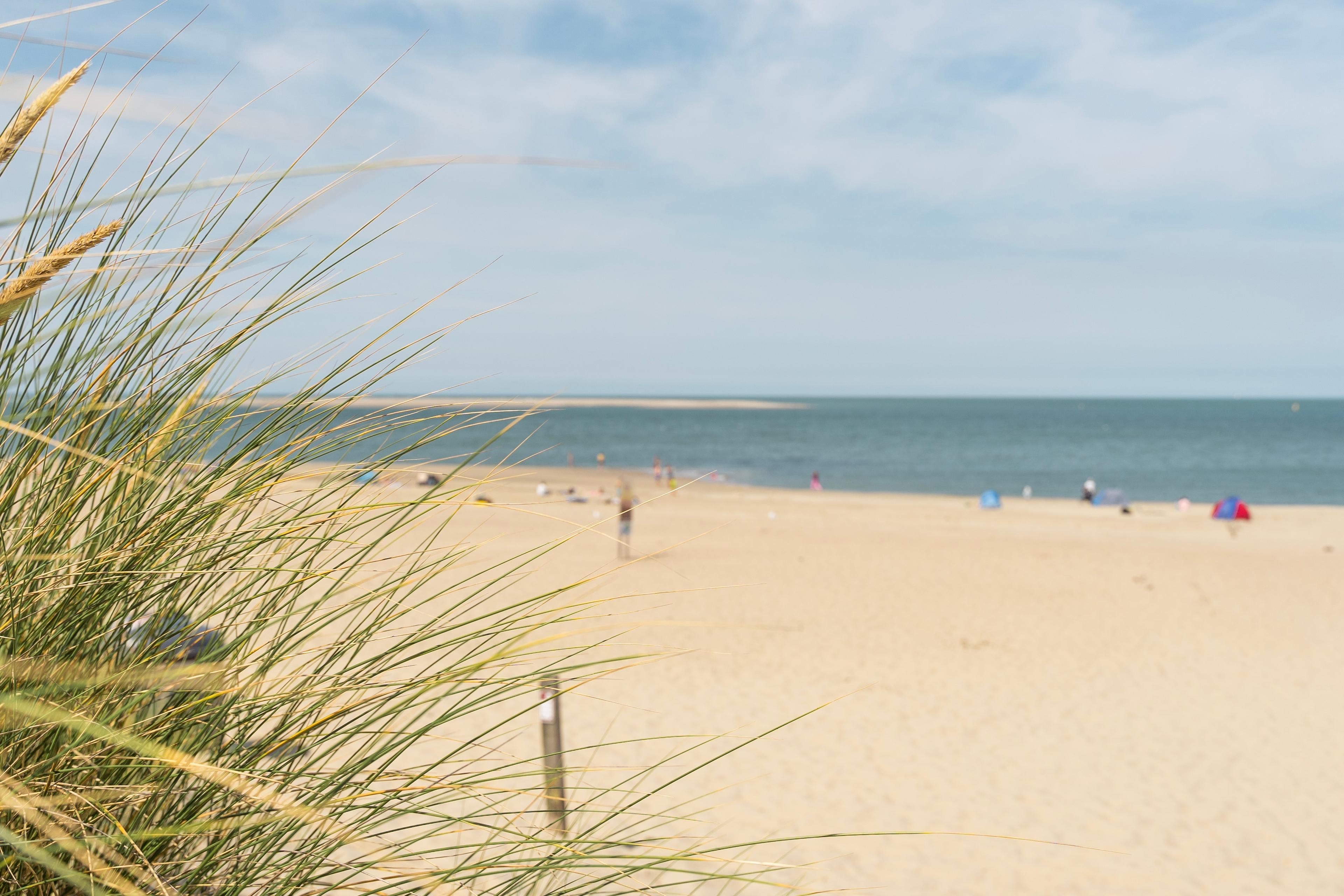 Renesse strand