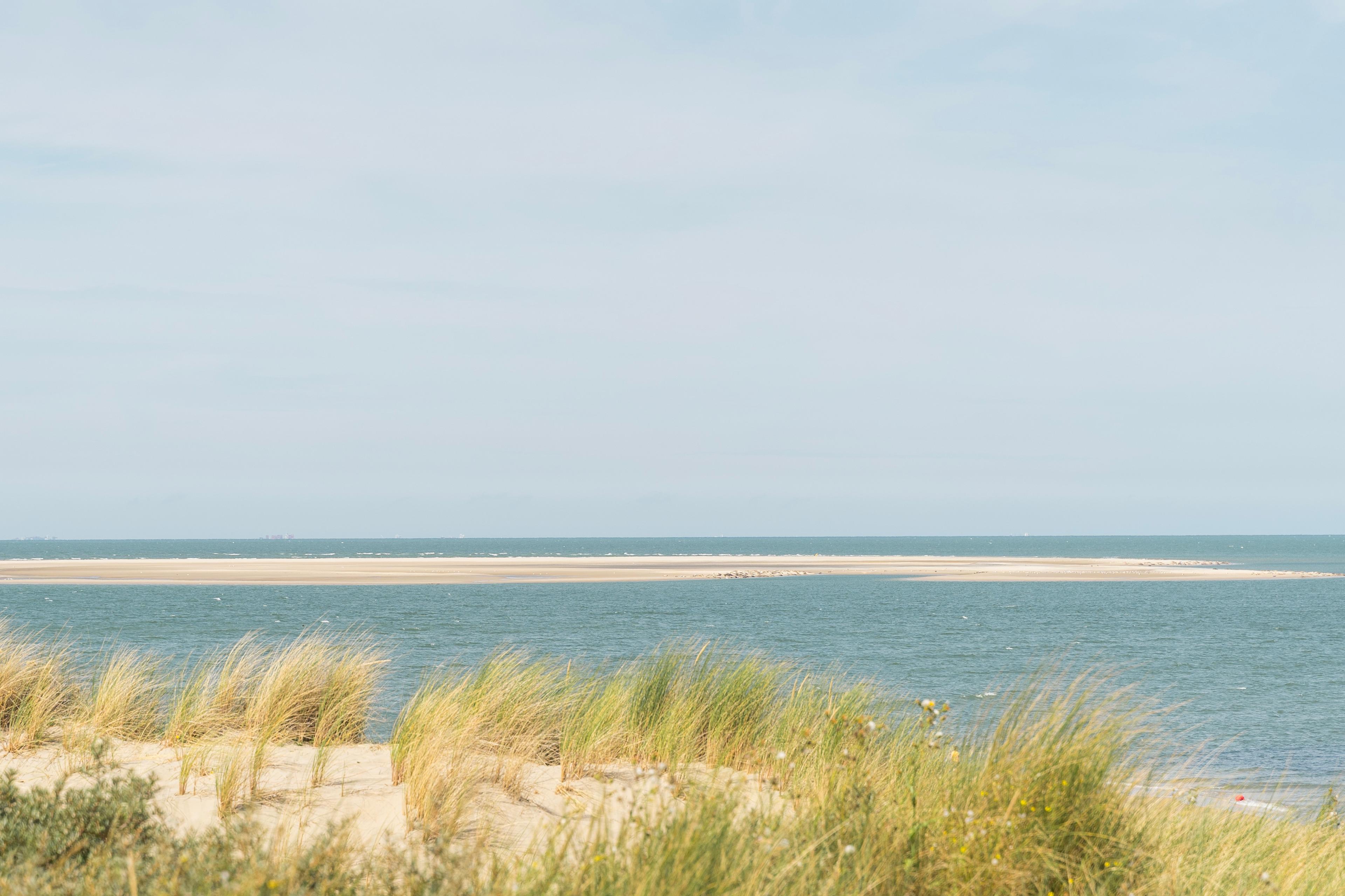 Renesse strand