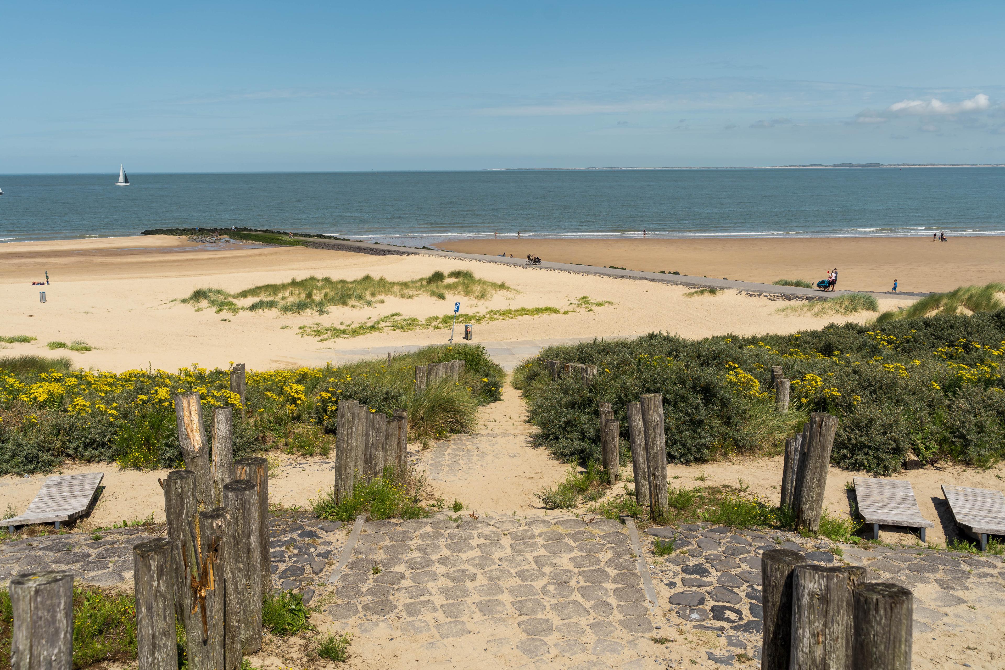 Strand Nieuwvliet-Bad