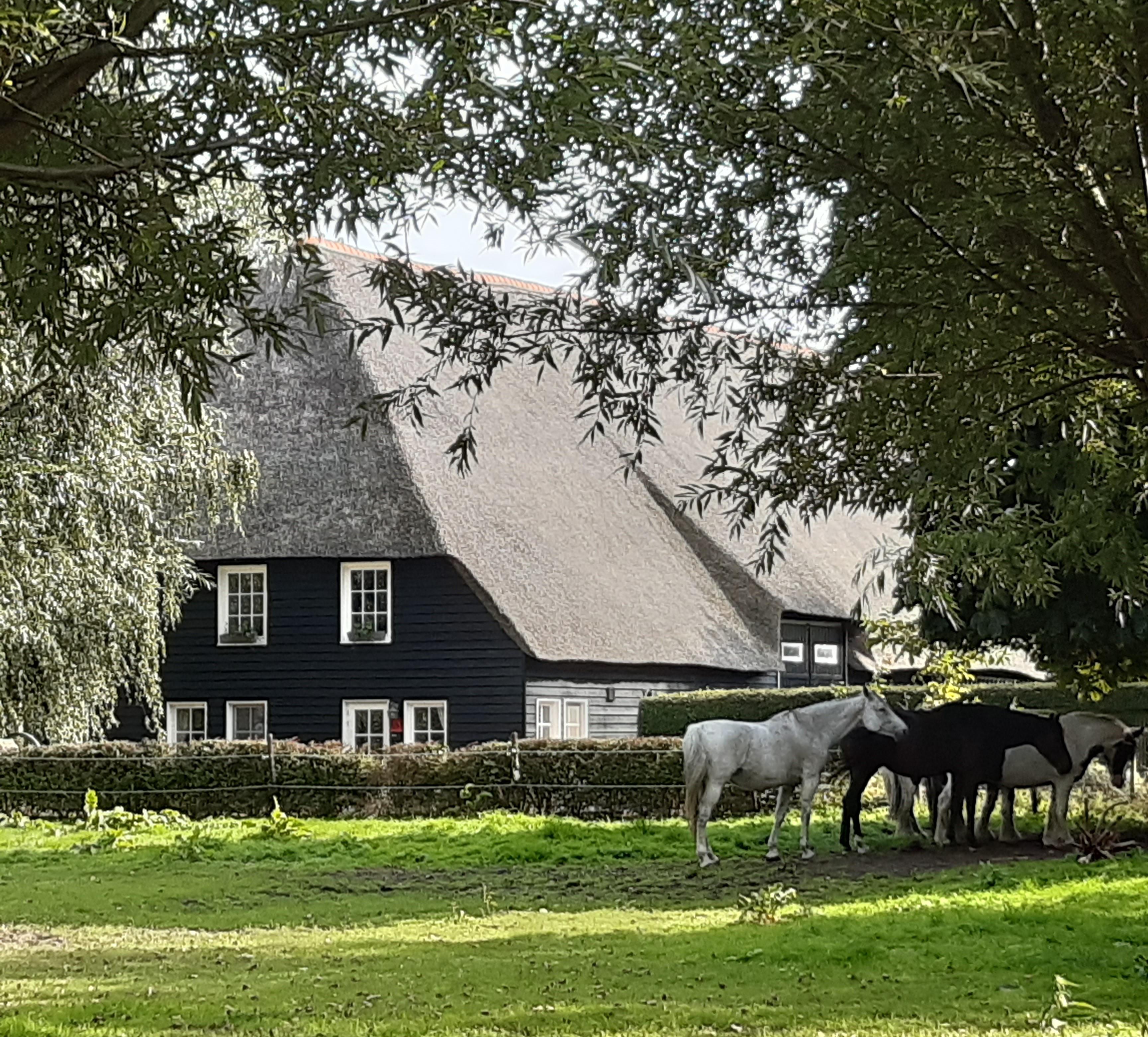 Historische boerderij de Houttuynen in IJzendijke