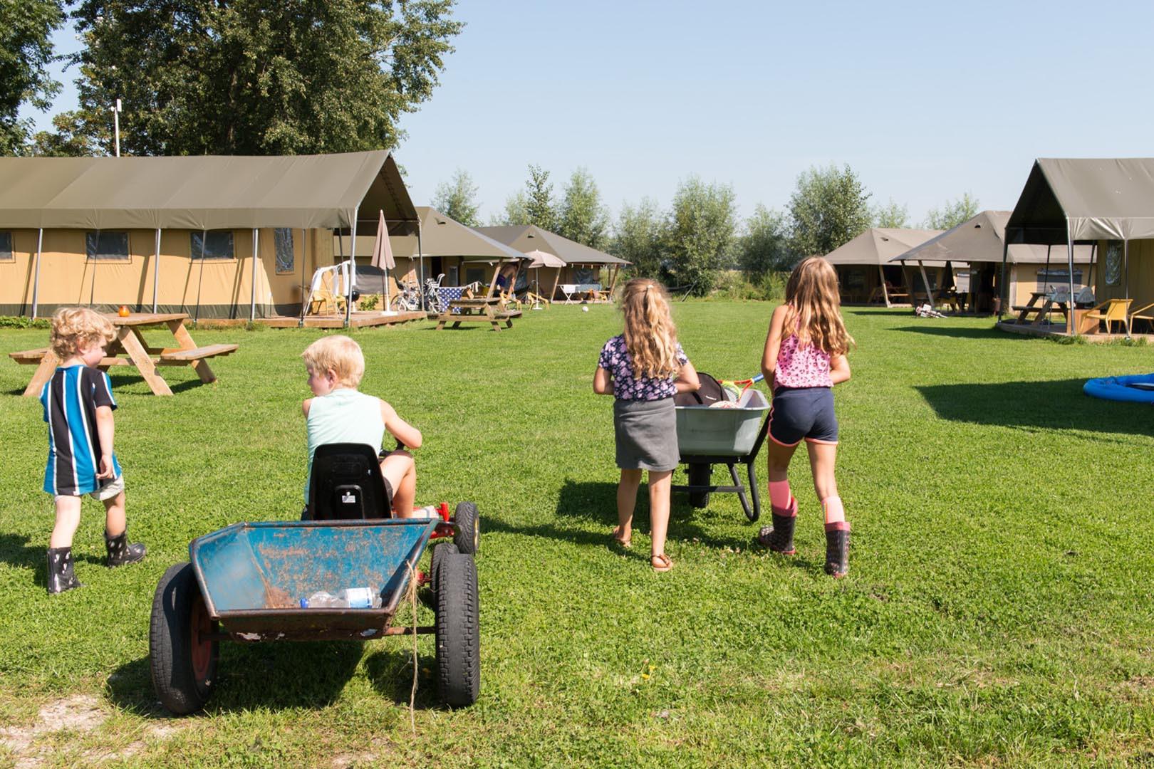 Farmcamps Oranjepolder