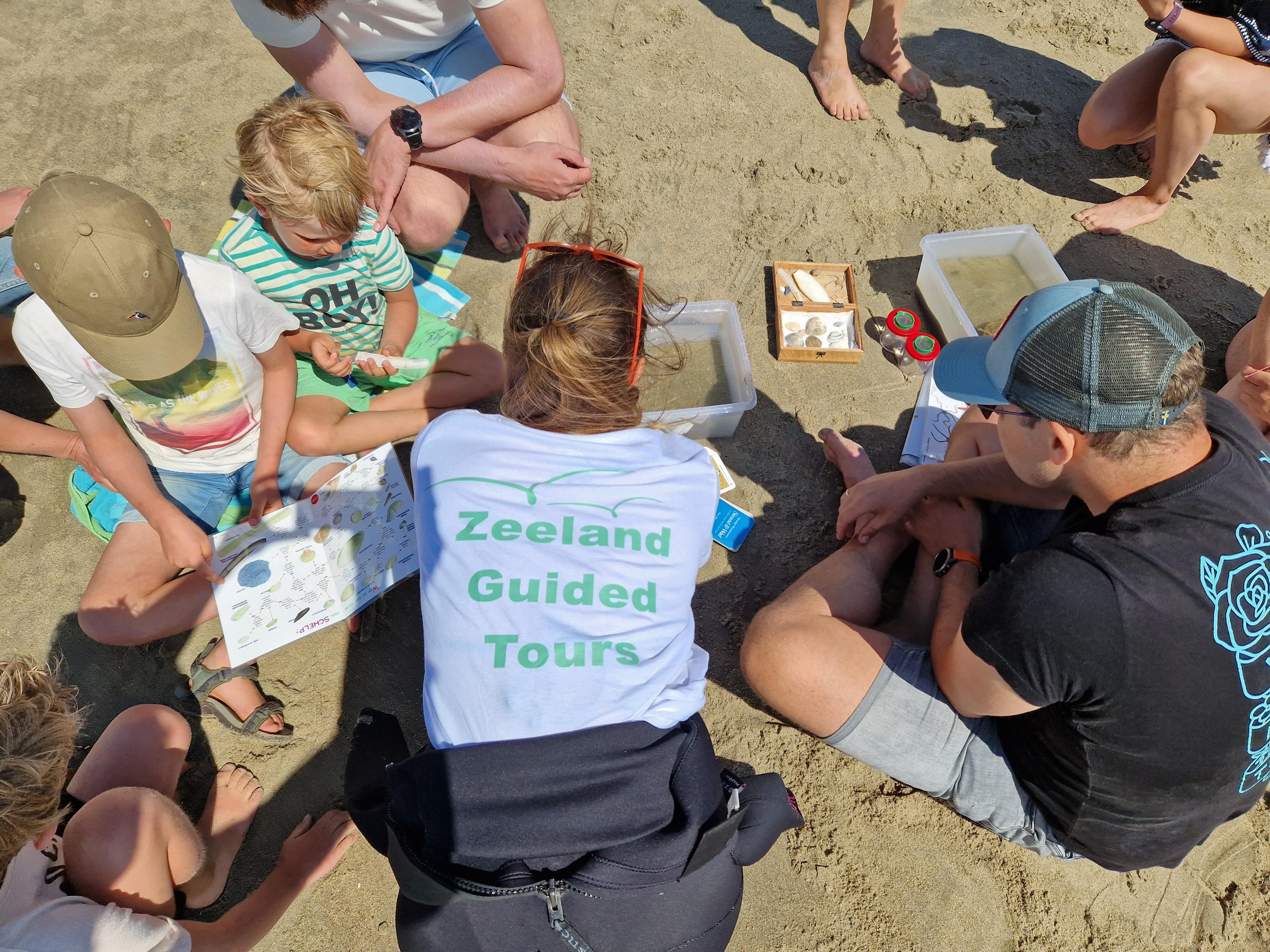 Strand safari zoekkaarten