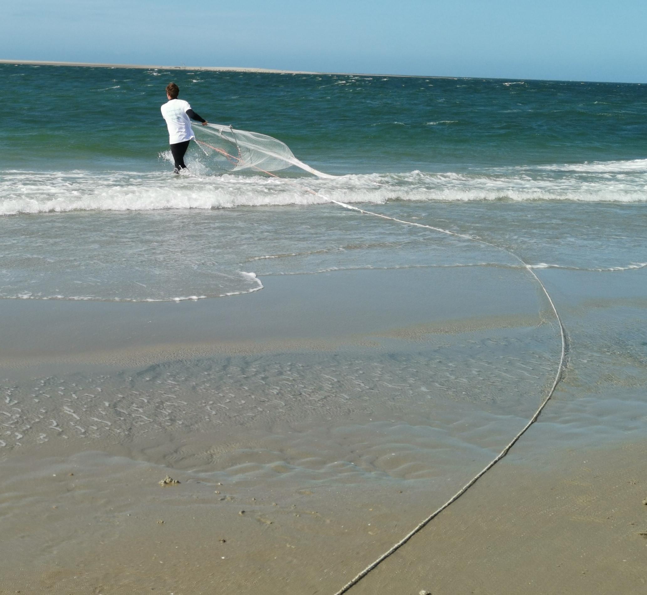 Strand safari met sleepnet in zee