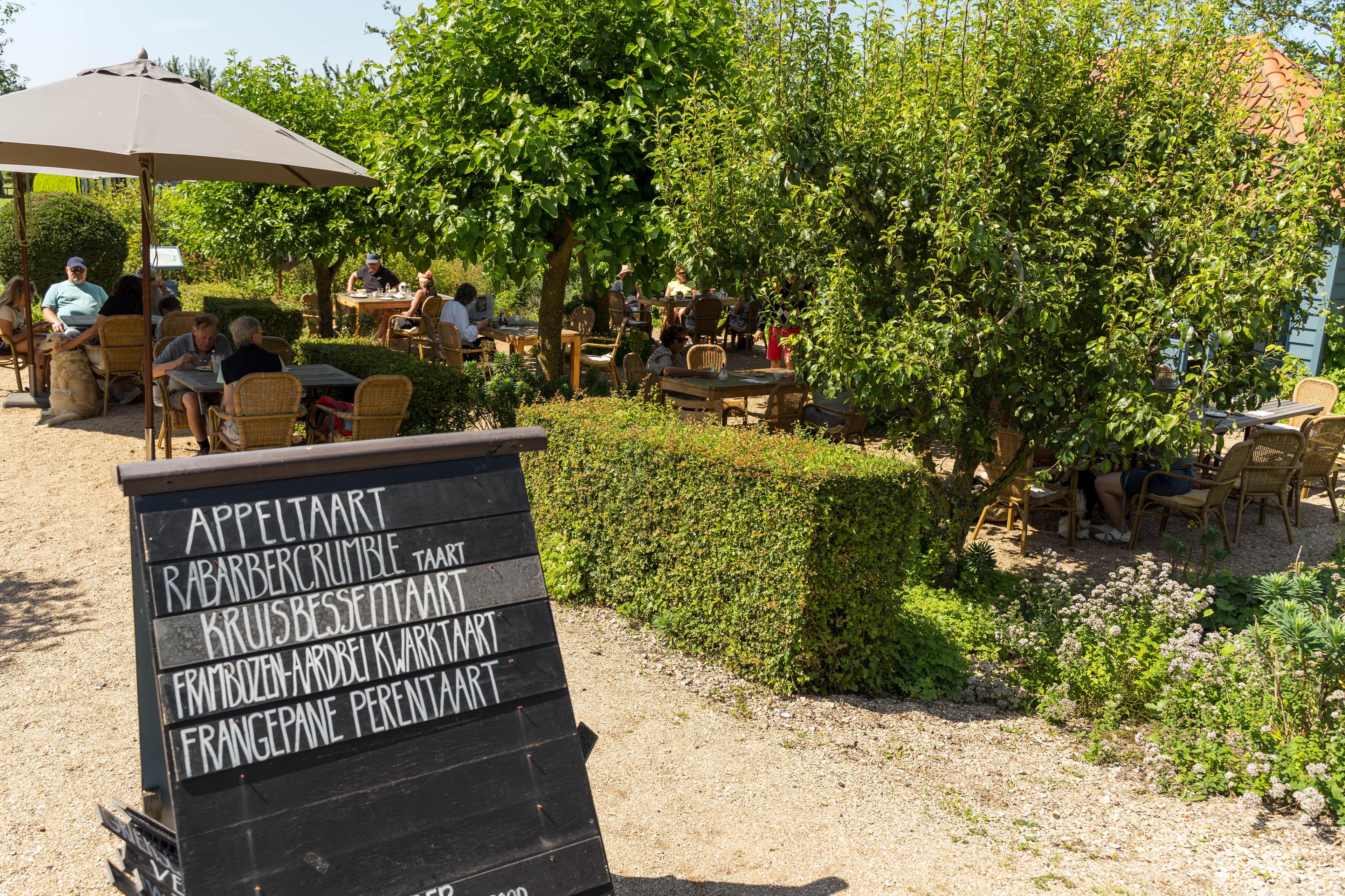 Theetuin in de Morelleput