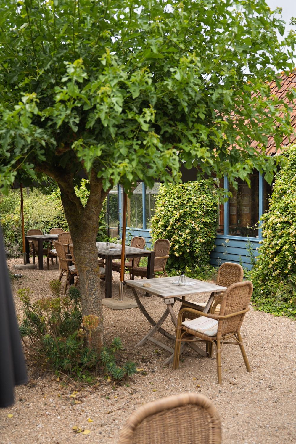 Theetuin in de Morelleput