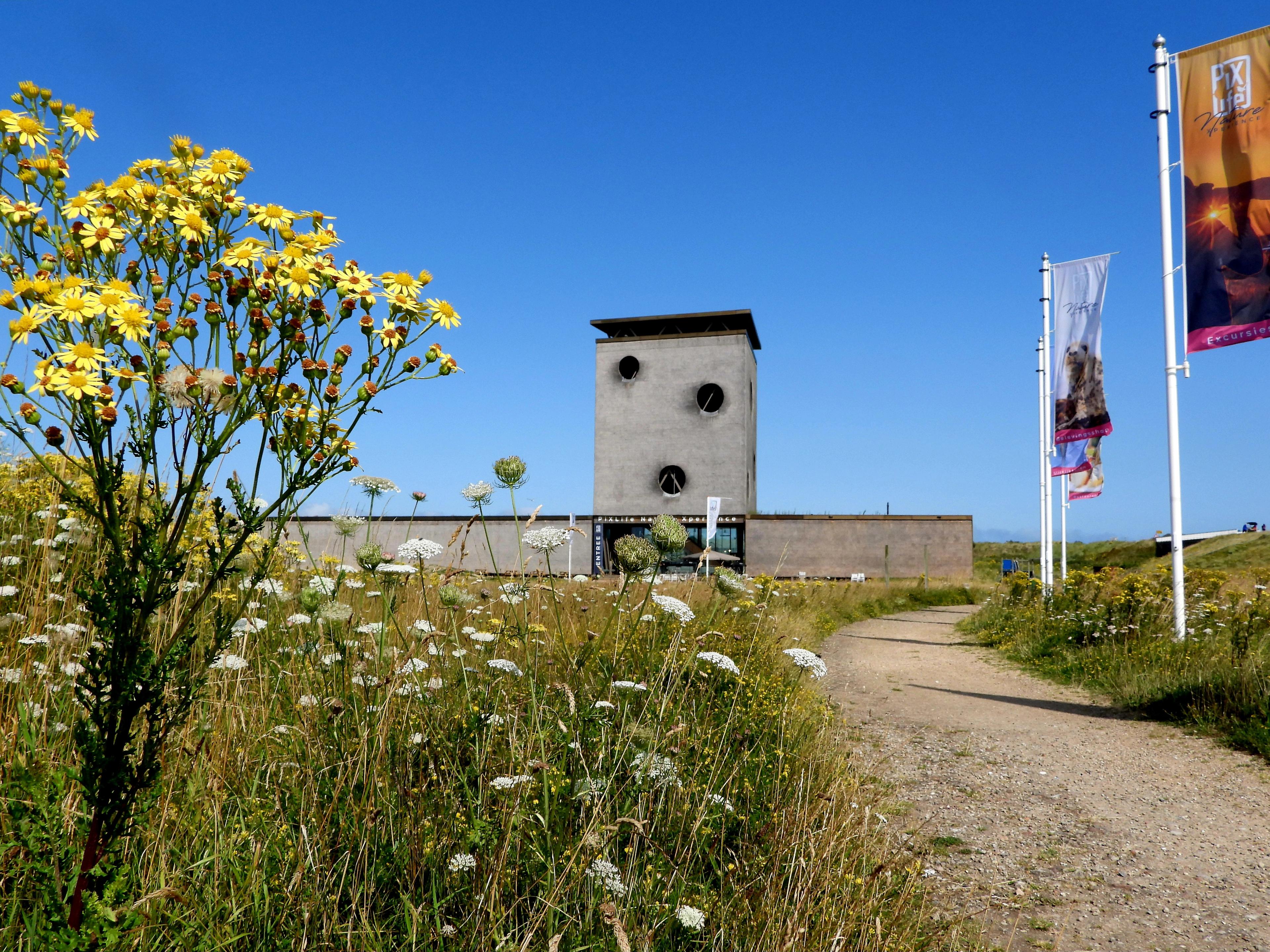 PiXLife Nature Xperience