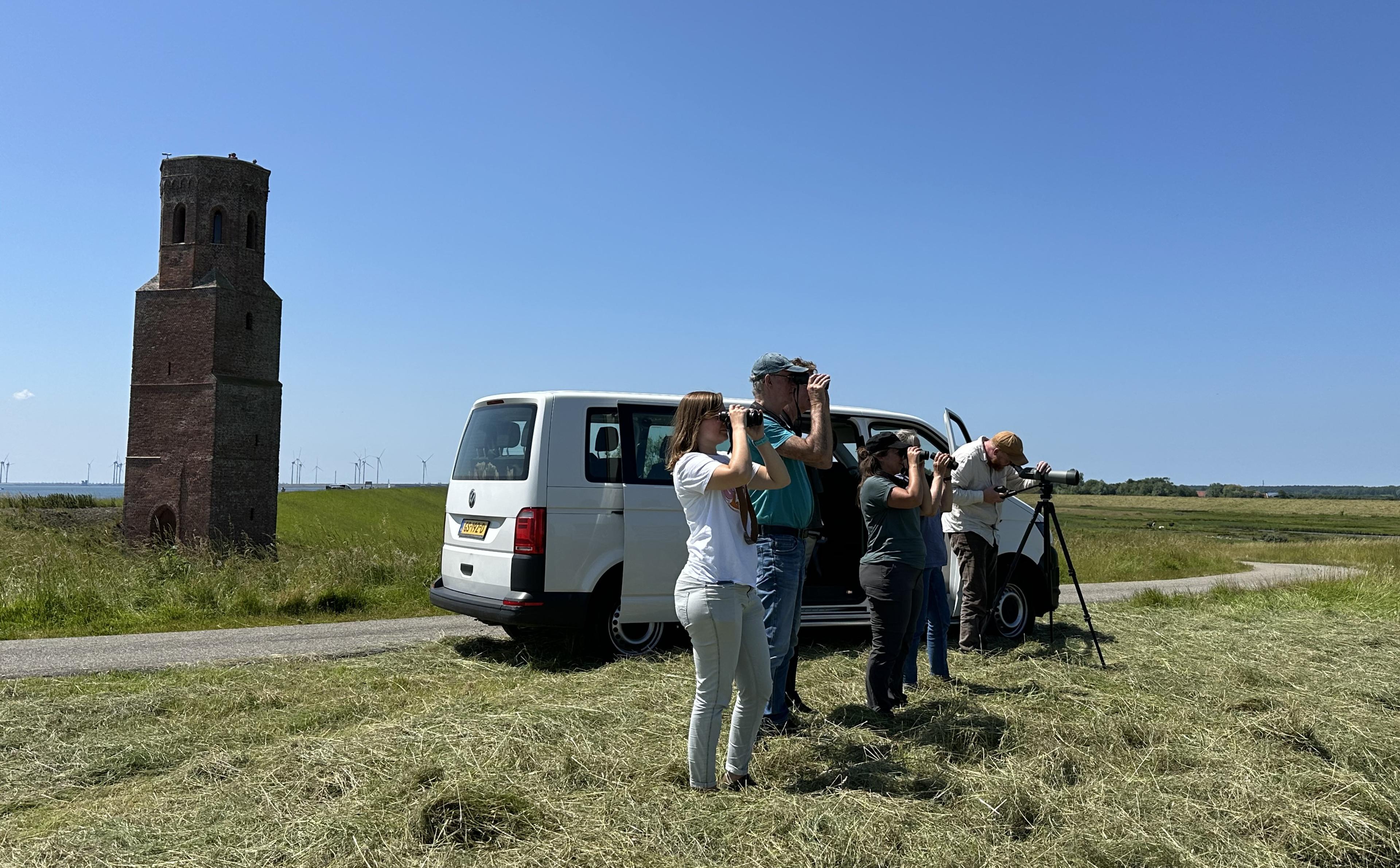 Busexcursie vogelen op Schouwen-Duiveland