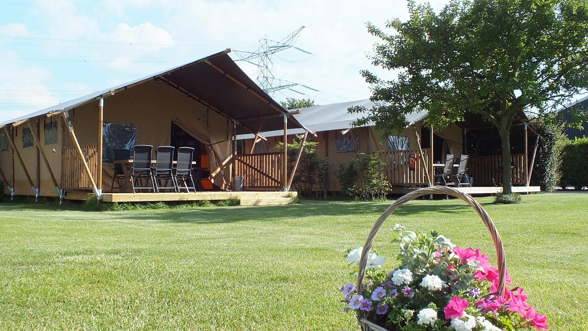 safaritent t'Kwedammertje