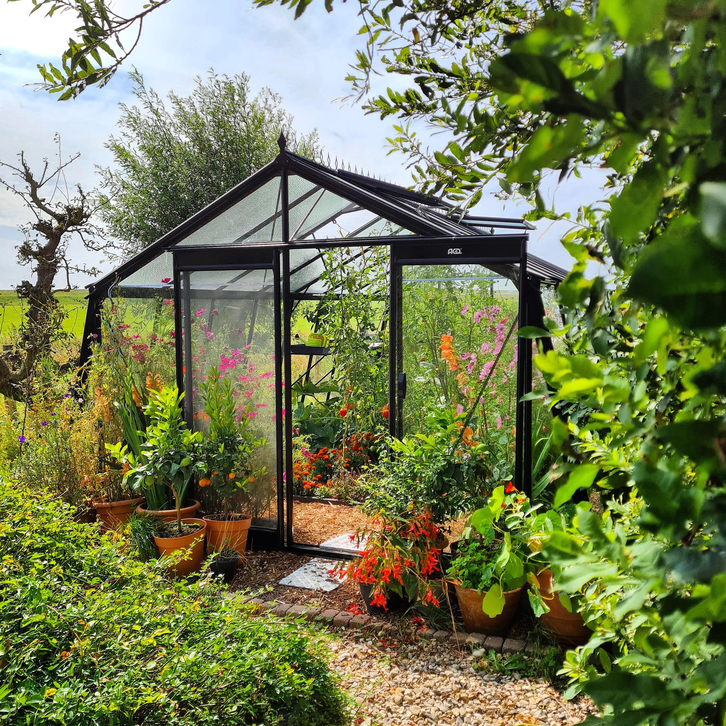 biologische groentes in seizoen uit eigen kas