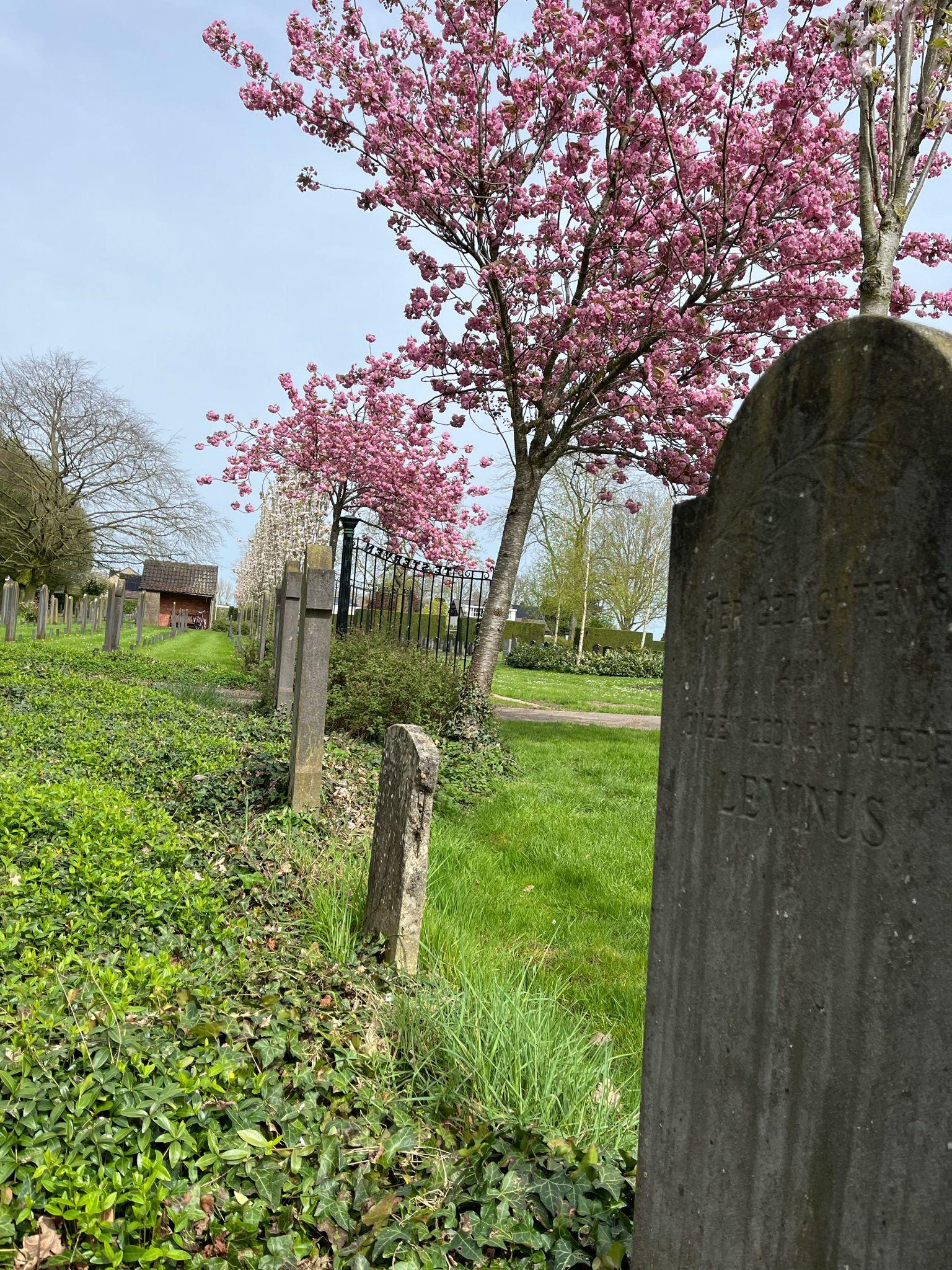 Zaamslagse begraafplaats