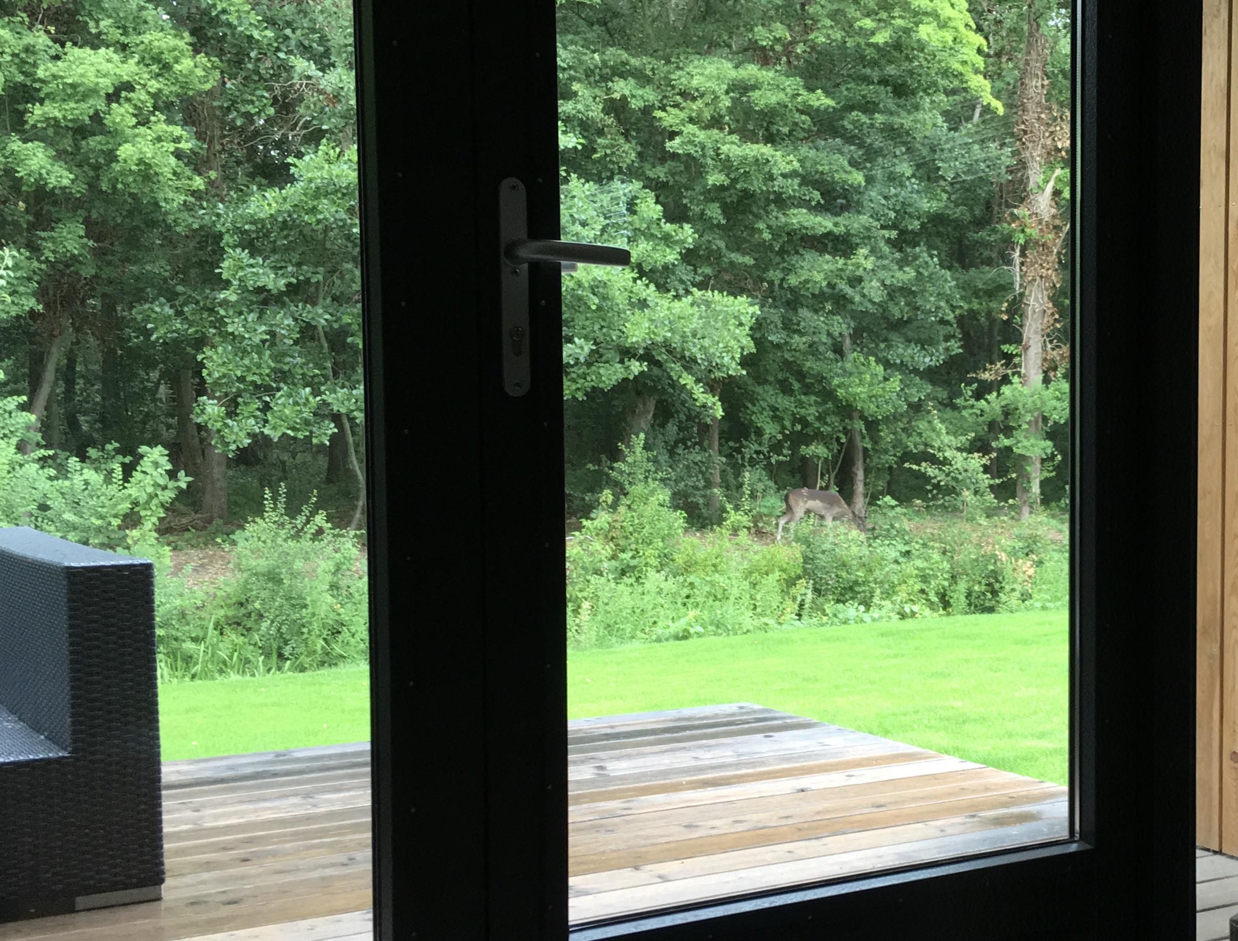 Uitzicht vanuit het zomerhuisje