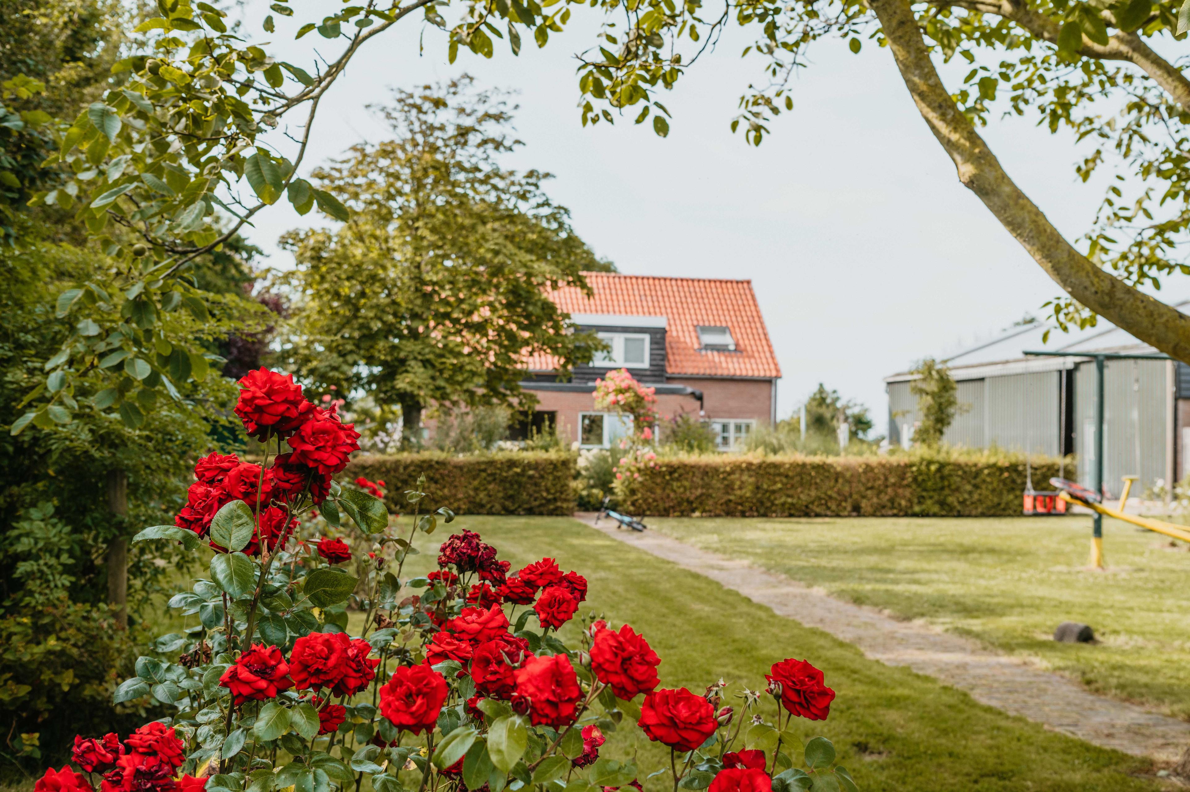 Vakantiehuis minicamping Boudewijnskerke