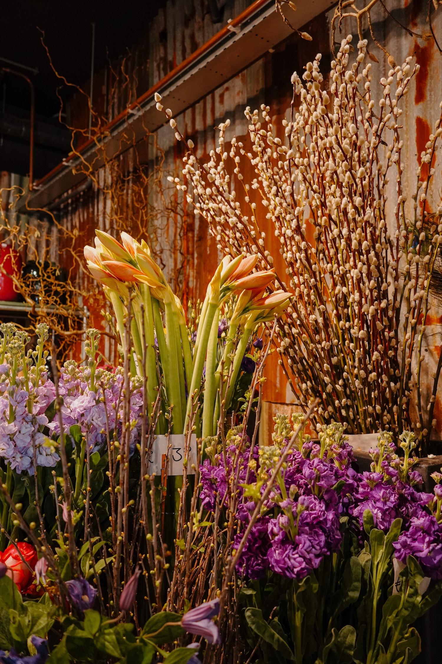 De Verleiding Terneuzen