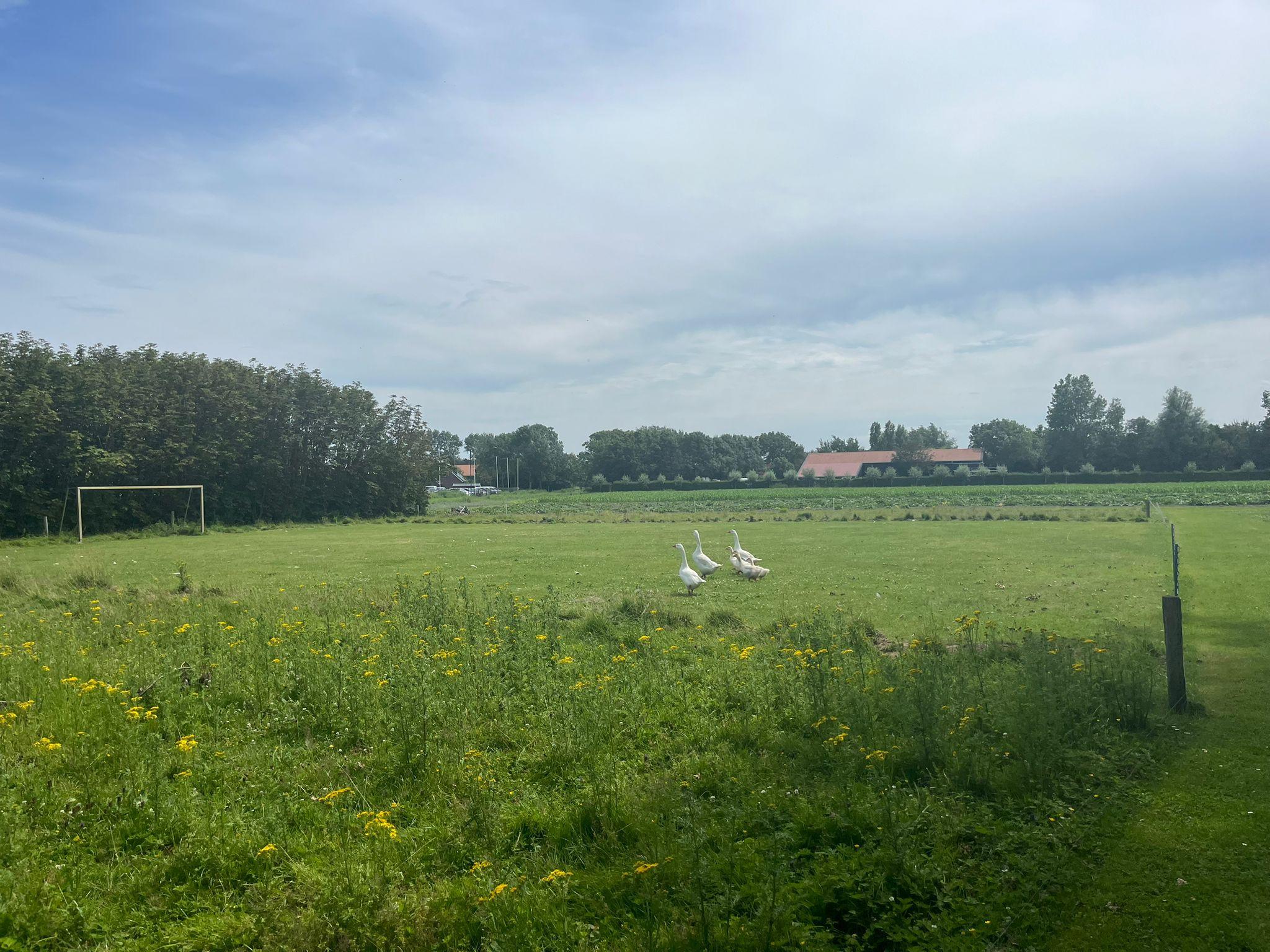 uitzicht