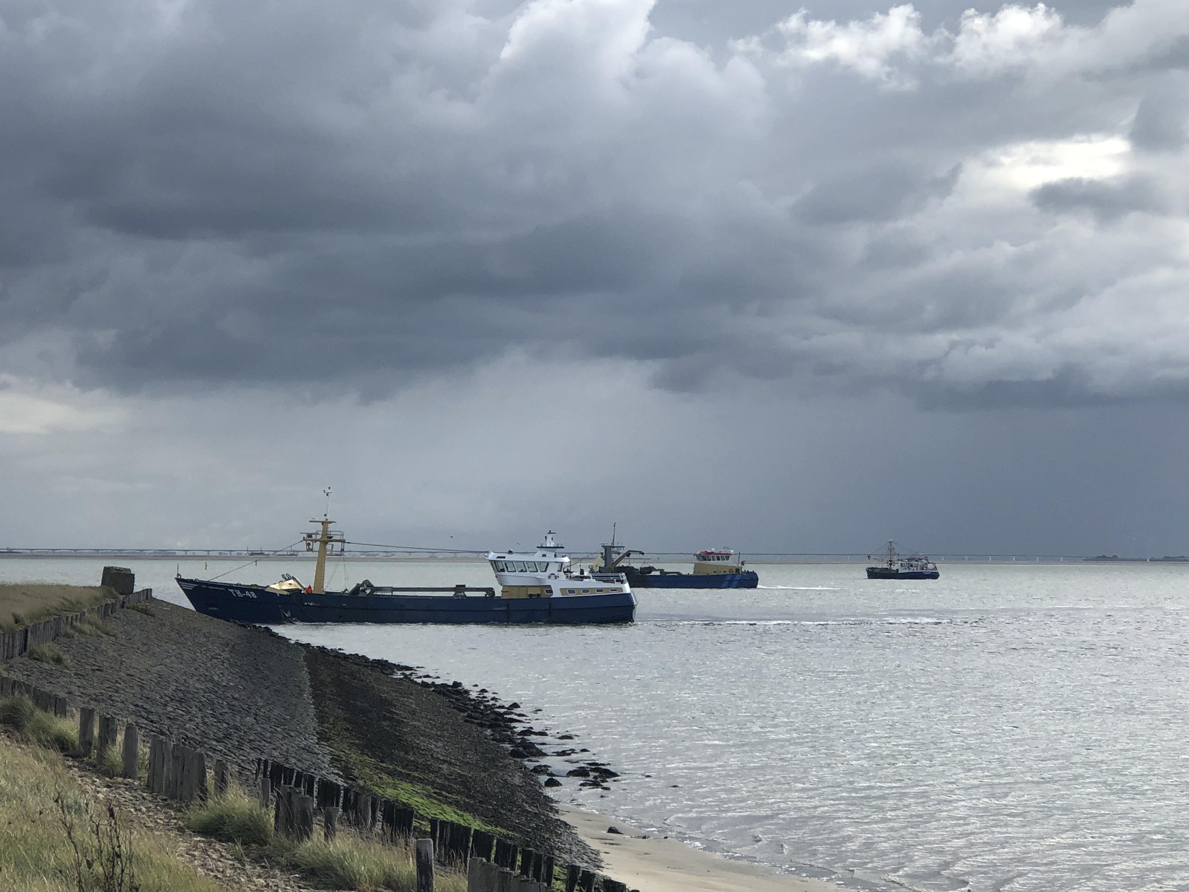 Verse mosselen uit de Oosterschelde
