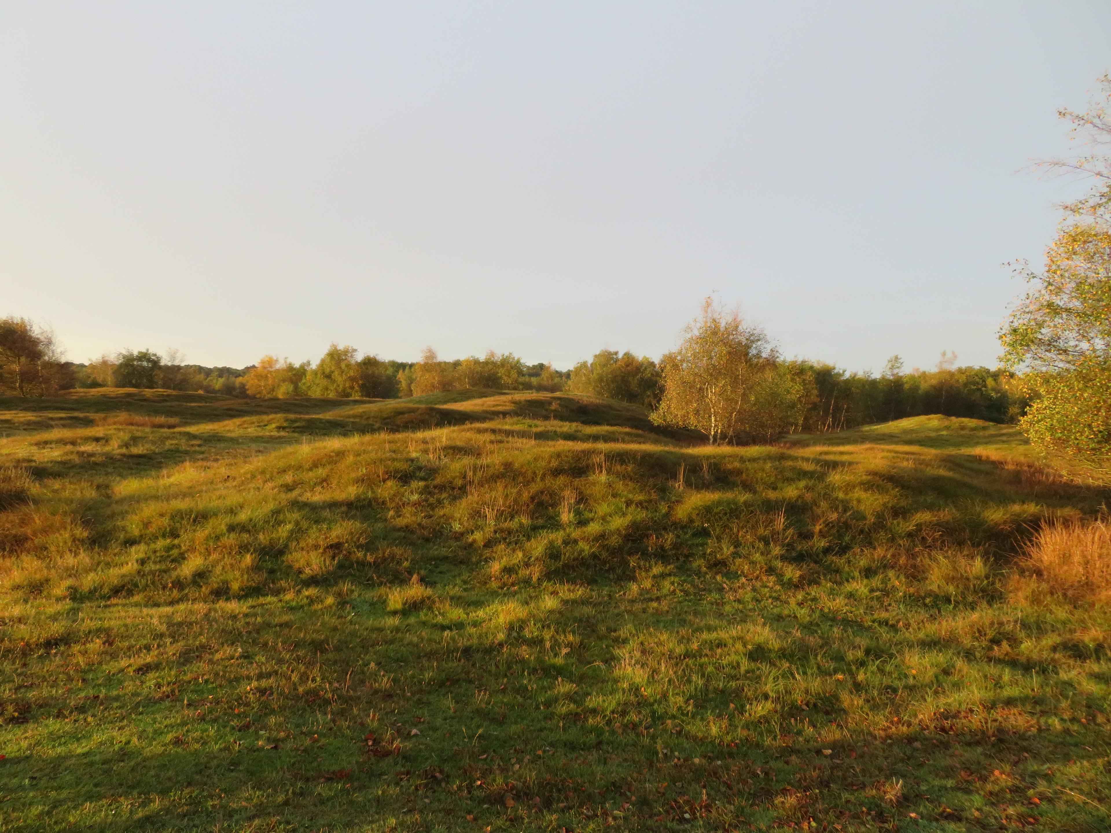 Zeepeduinen