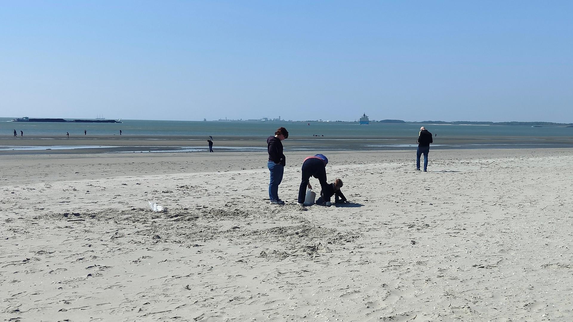 Haaientanden zoeken op de Kaloot