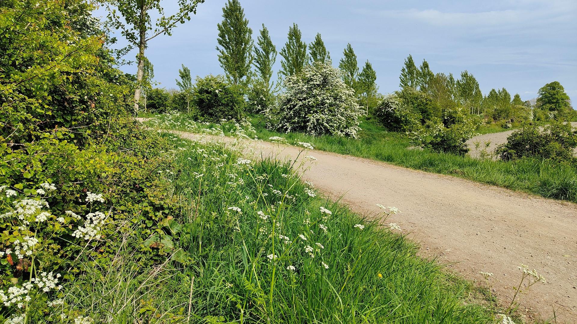 De bloemdijken van Zuid-Beveland