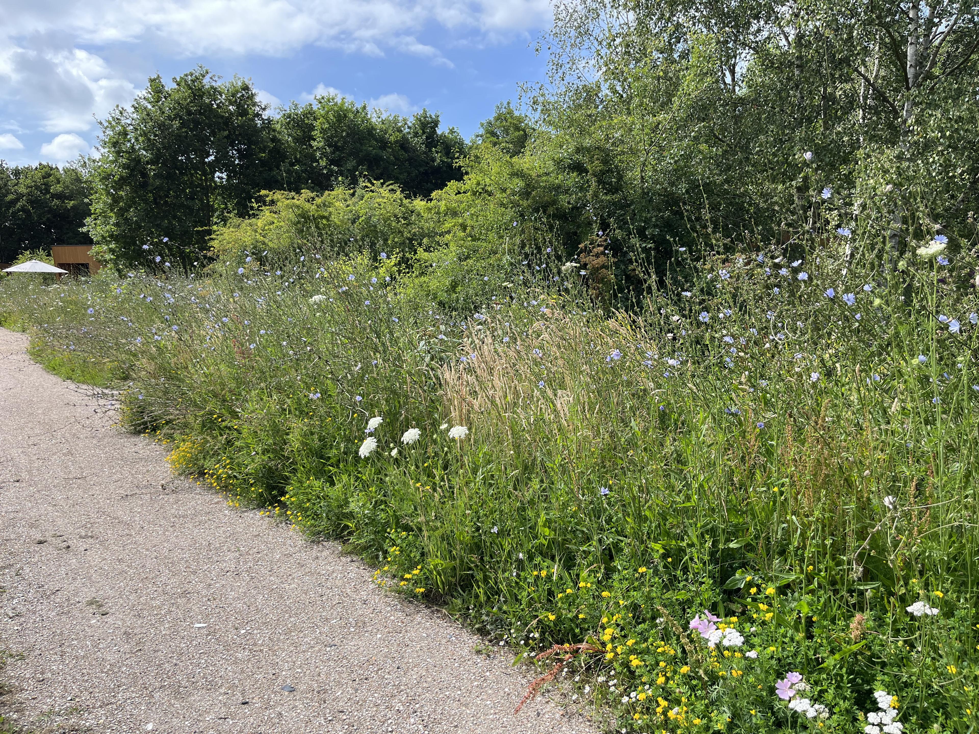 Steurshoeve Burgh-Haamstede