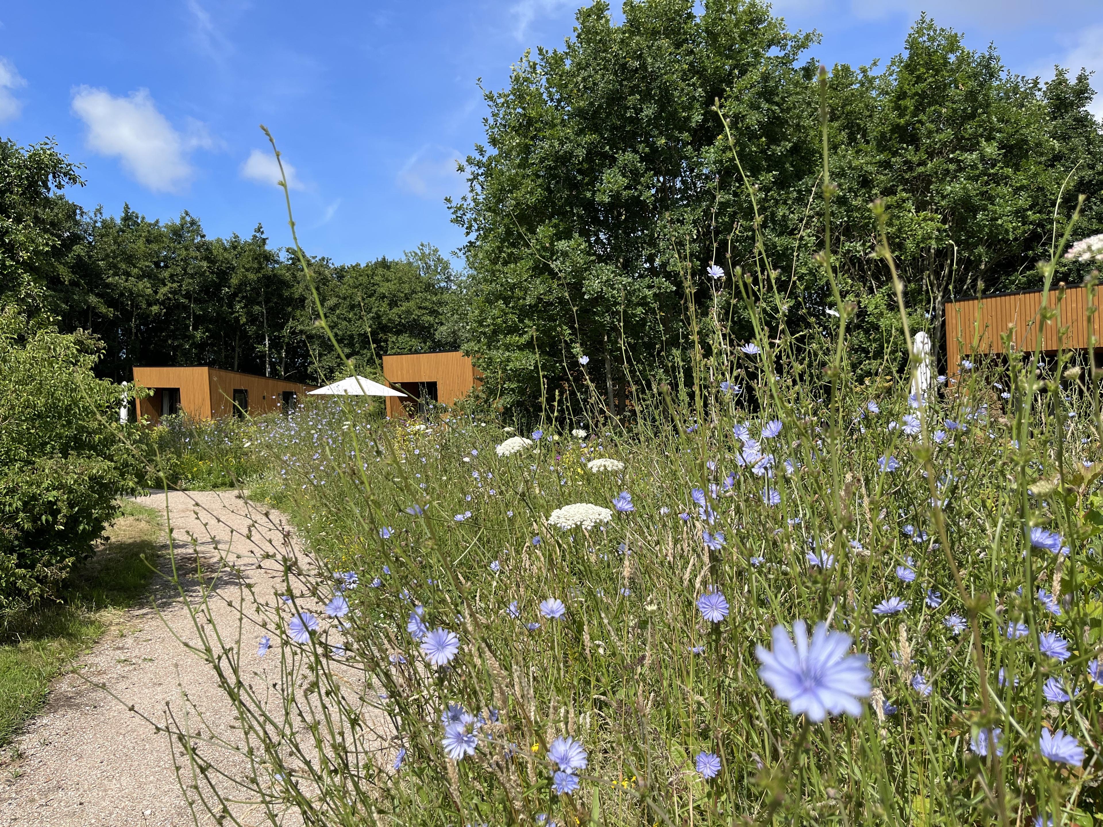 Steurshoeve Burgh-Haamstede