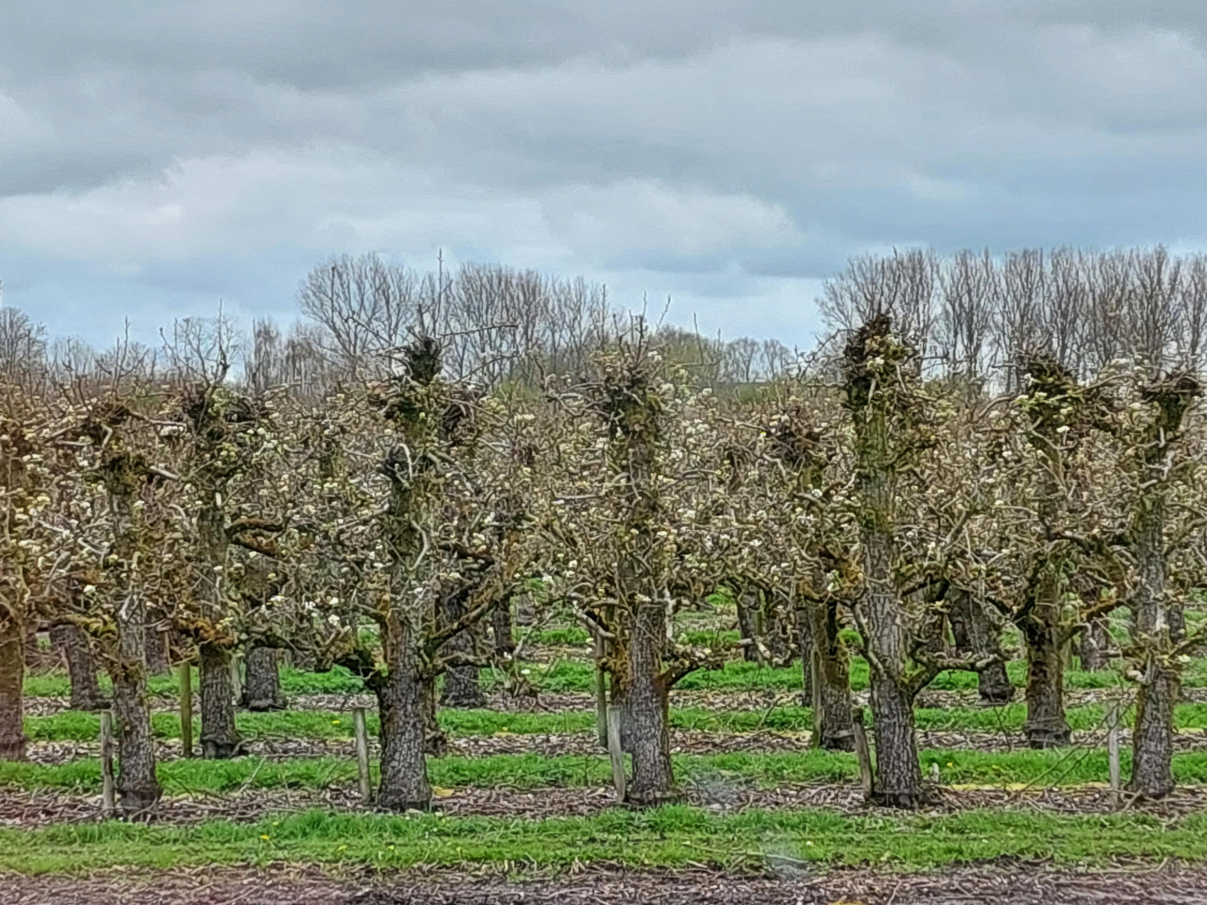 Uitzicht maart/april