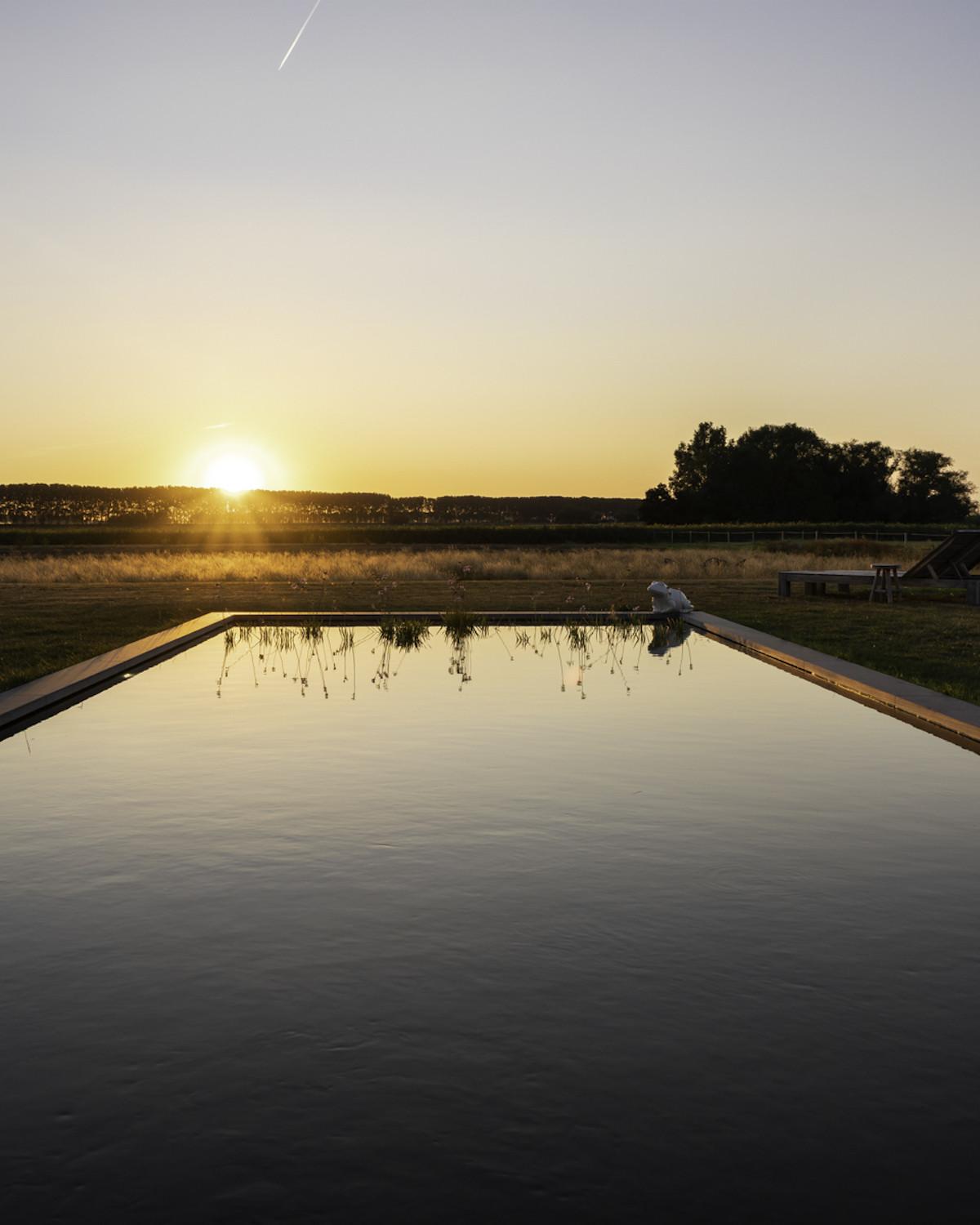 Zwemvijver B&B Het Verborgen Geluk