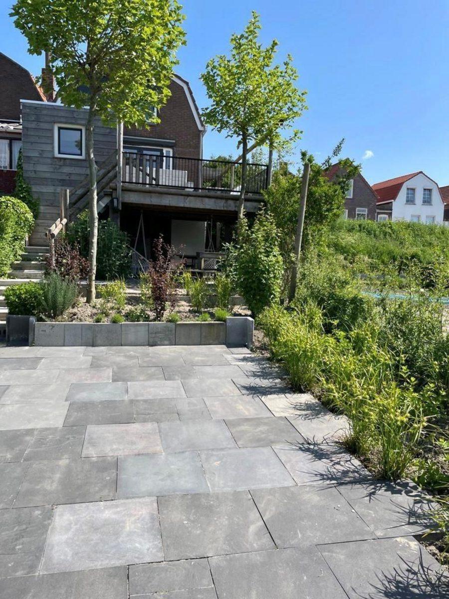 Tuin van Boulevard 41