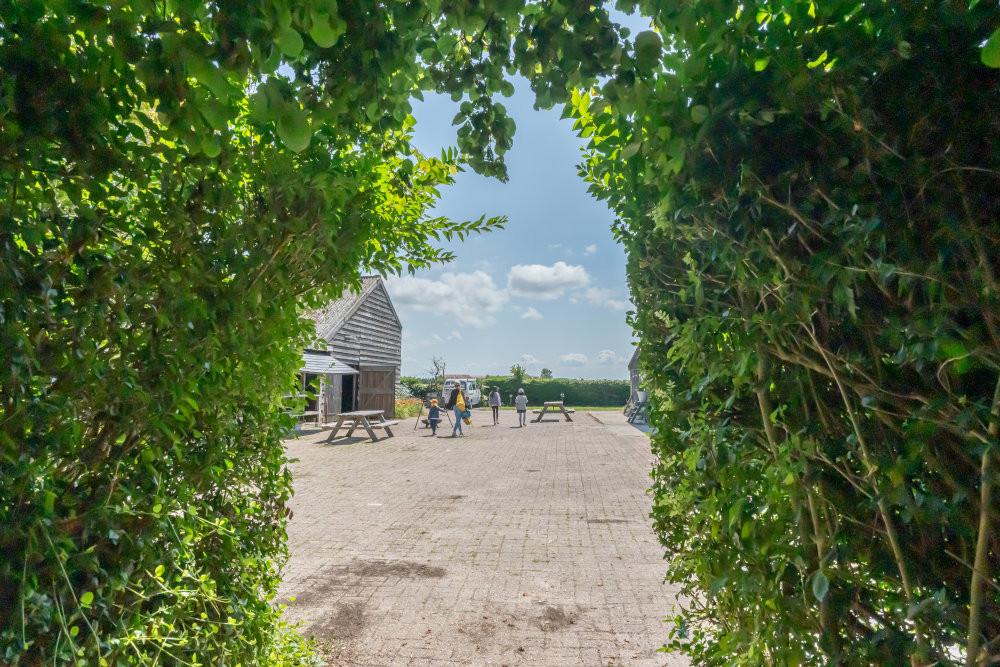 Camping 7 huizen aan zee