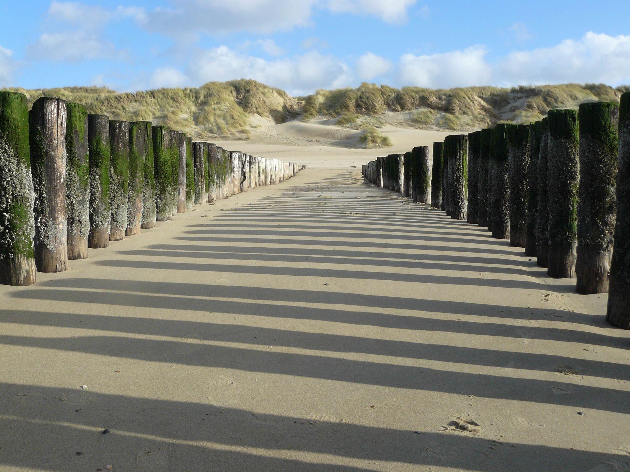 Palenrij strand Cadzand