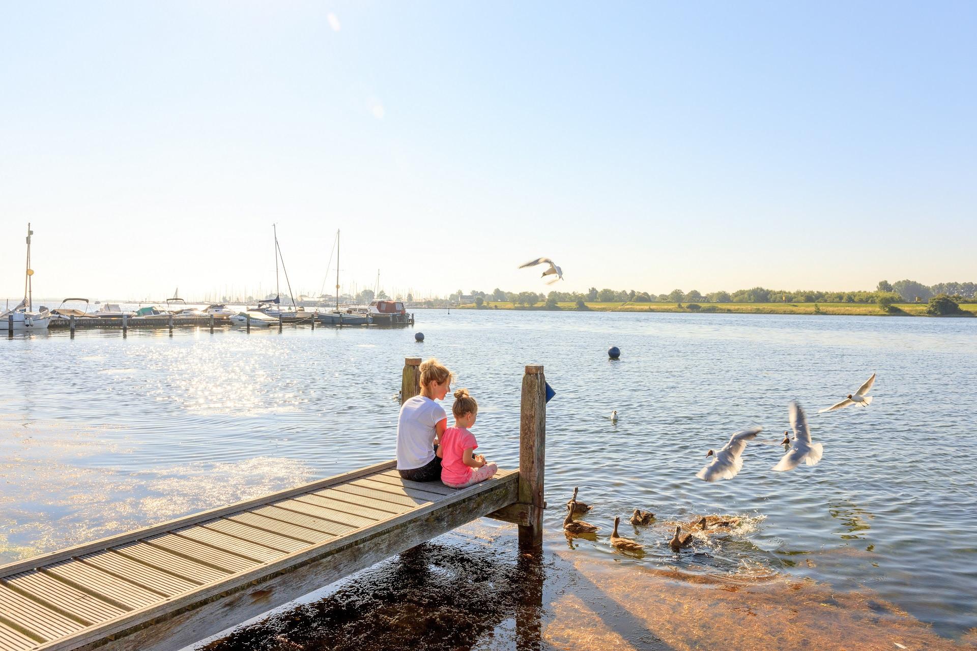 Camping en Villapark de Paardekreek