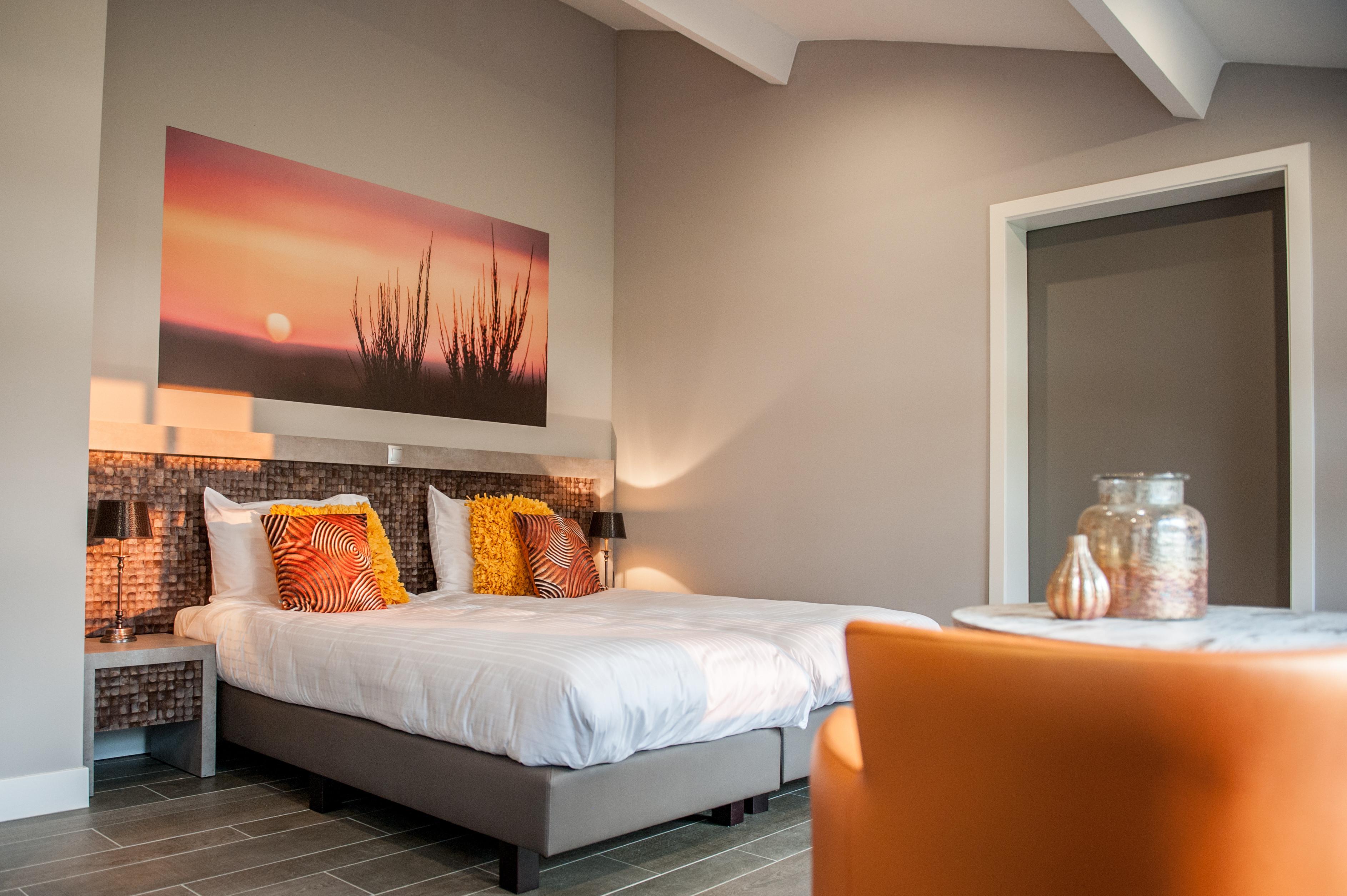 Deluxe Room handicap