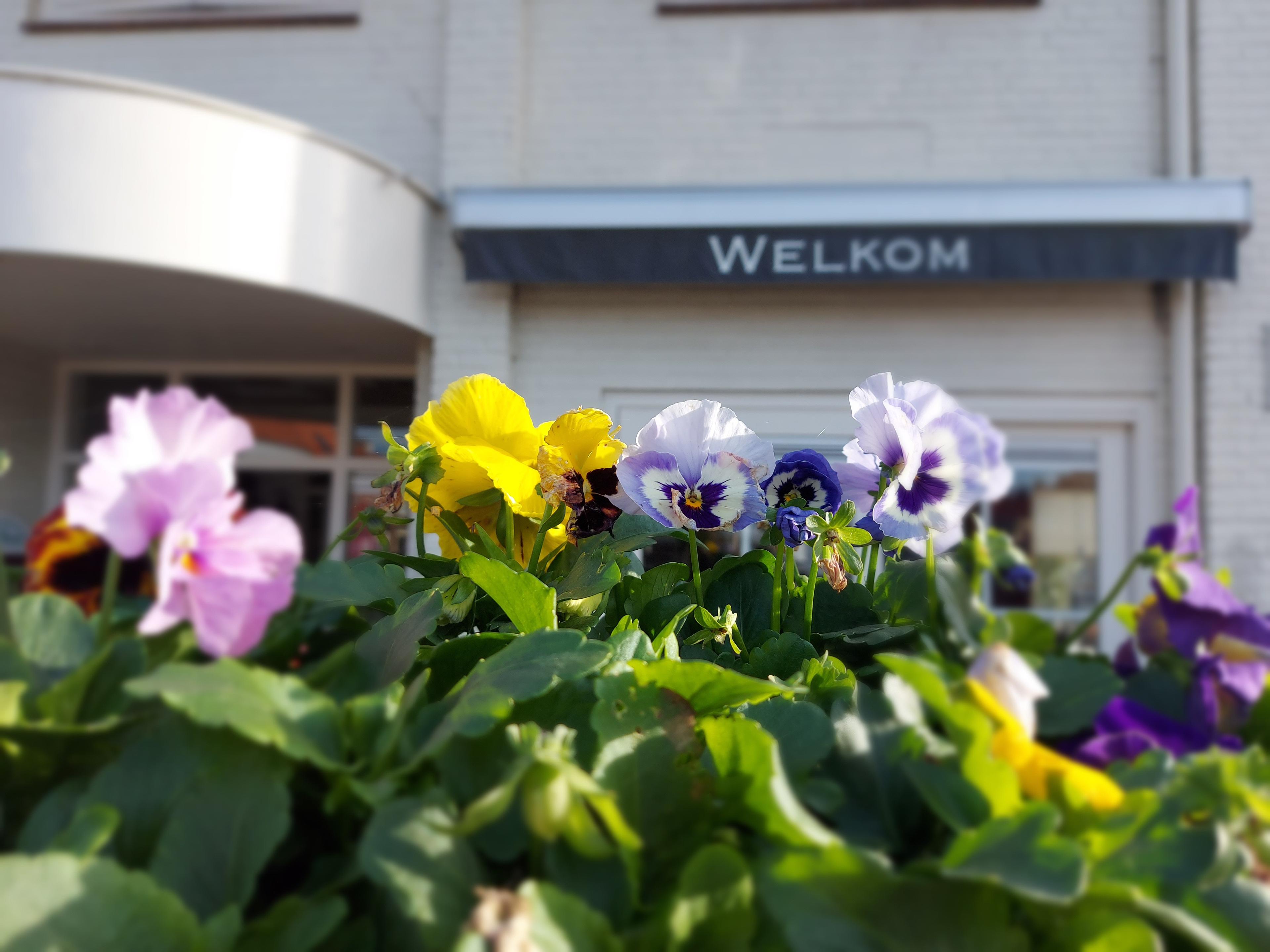 Welkom