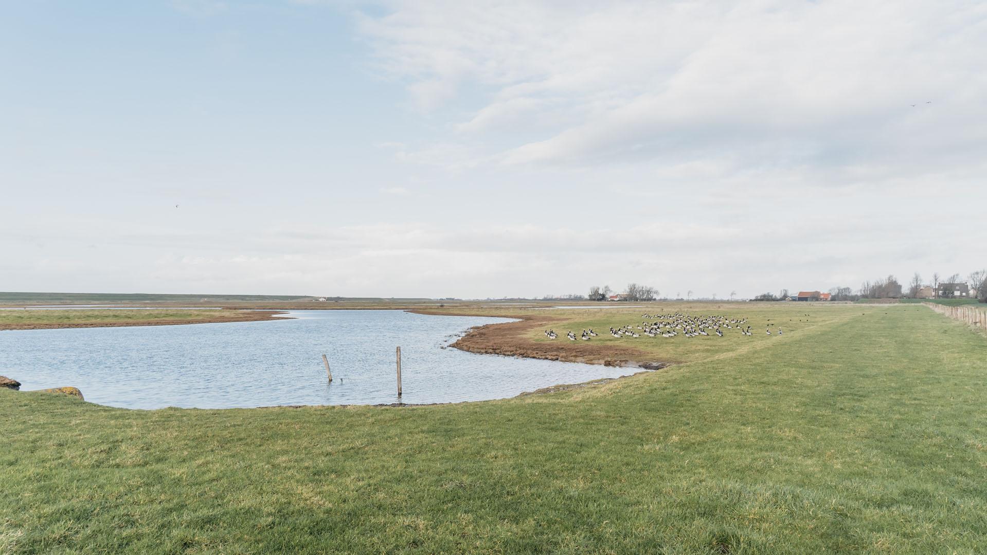 Schouwen-duiveland-deich und wasser