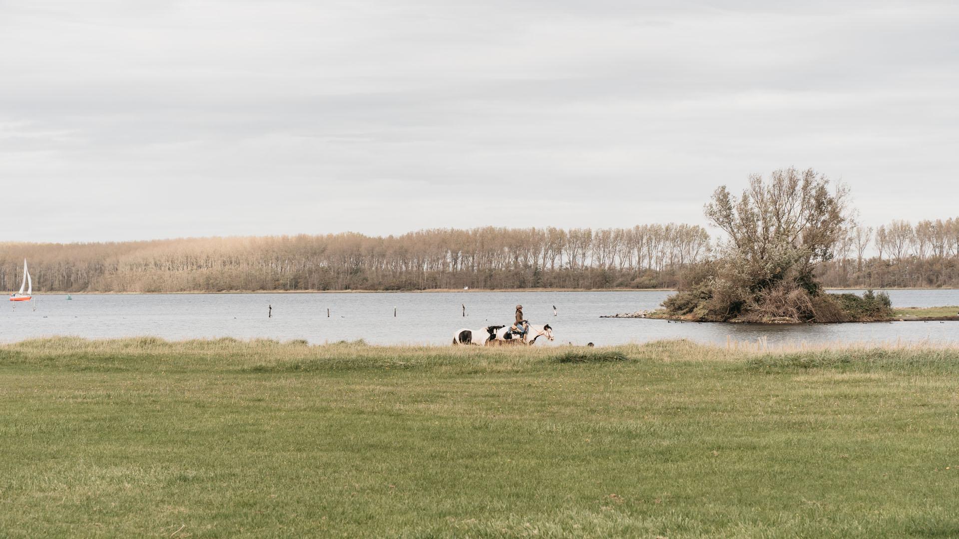 Paardrijden Veerse Meer