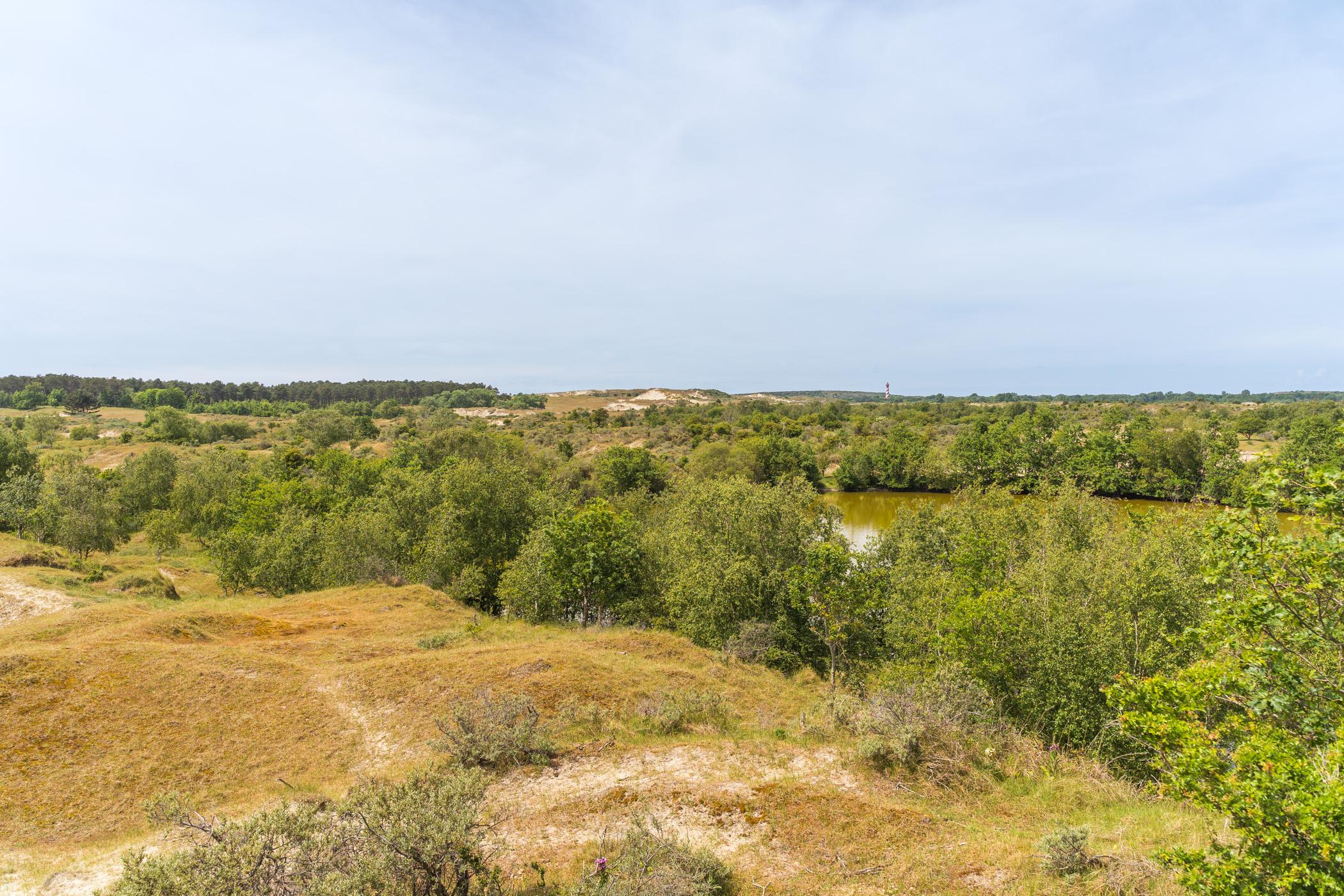 Boswachterij Westerschouwen