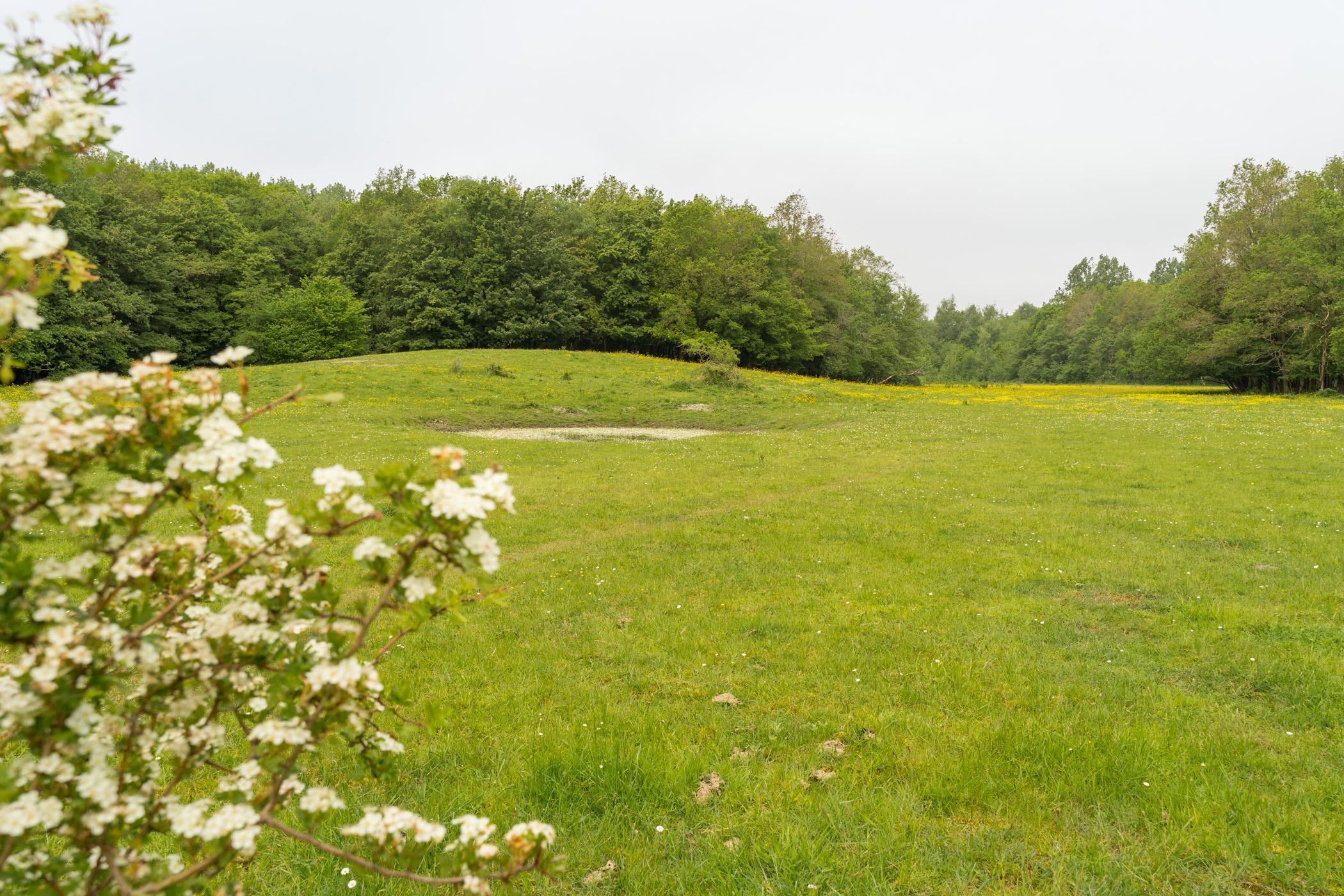 Kamperland Natuurgebiede Goudplaat