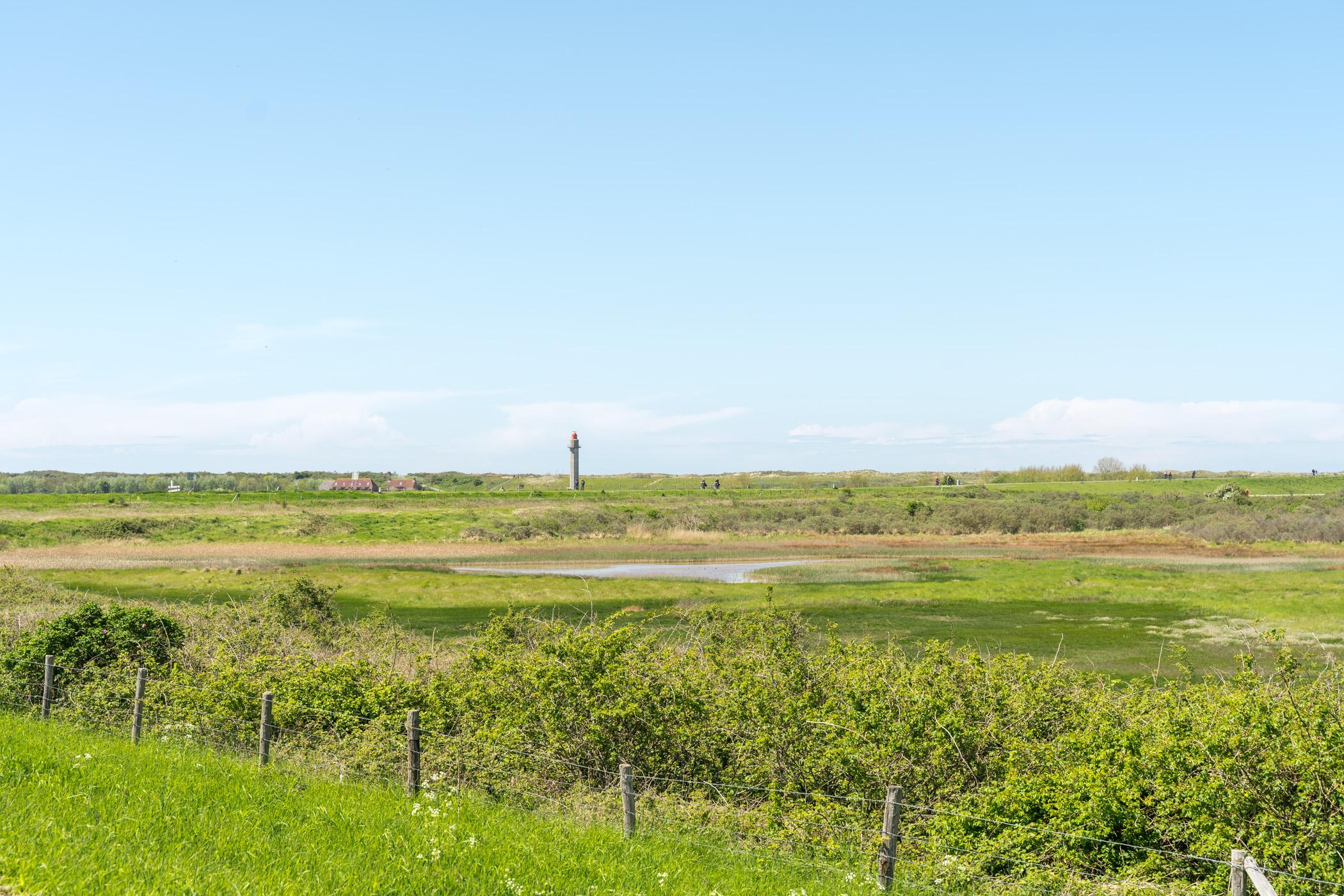 Nieuwvliet zwarte polder