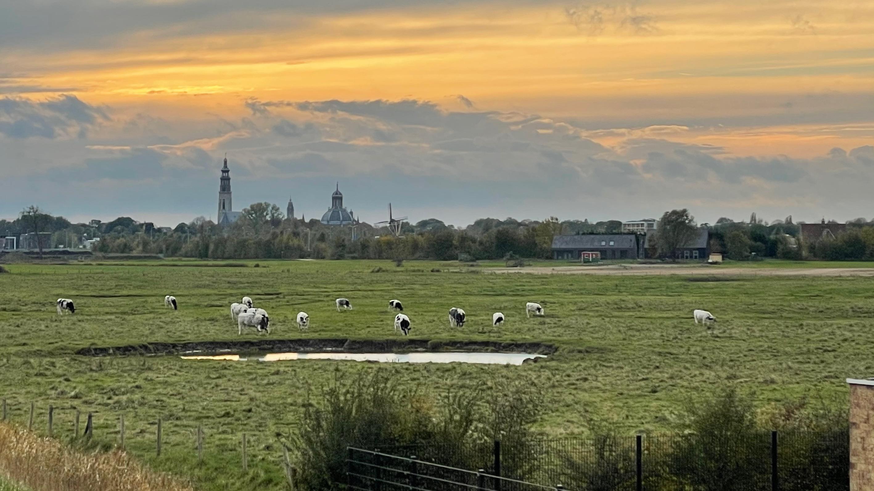 Middelburg skyline