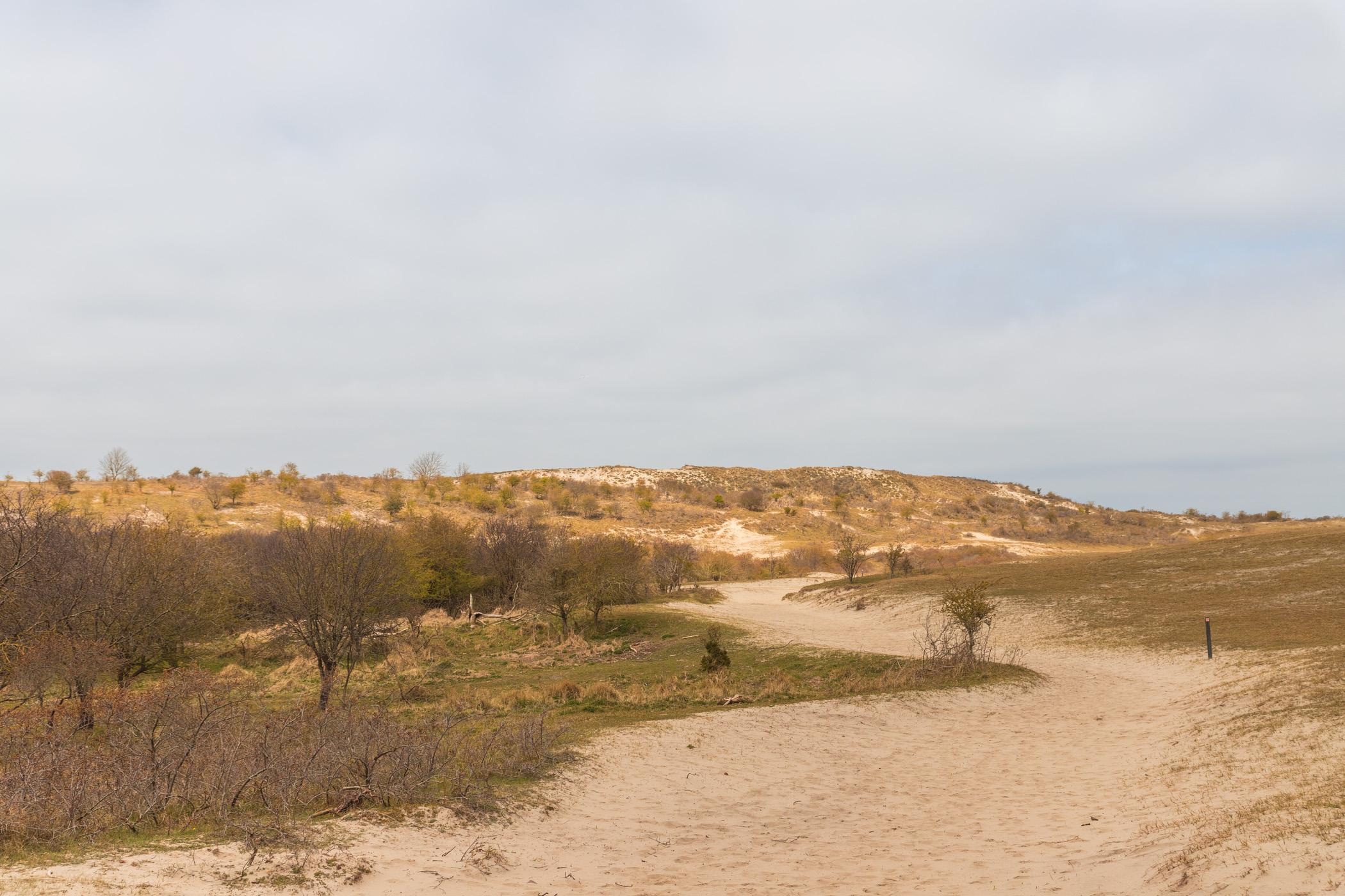 Burgh-Haamstede Naturschutzgebiet Zeepeduinen