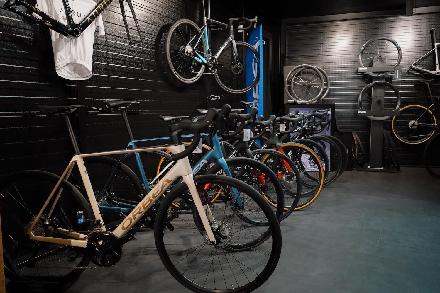 Kopwerk Sas van Gent