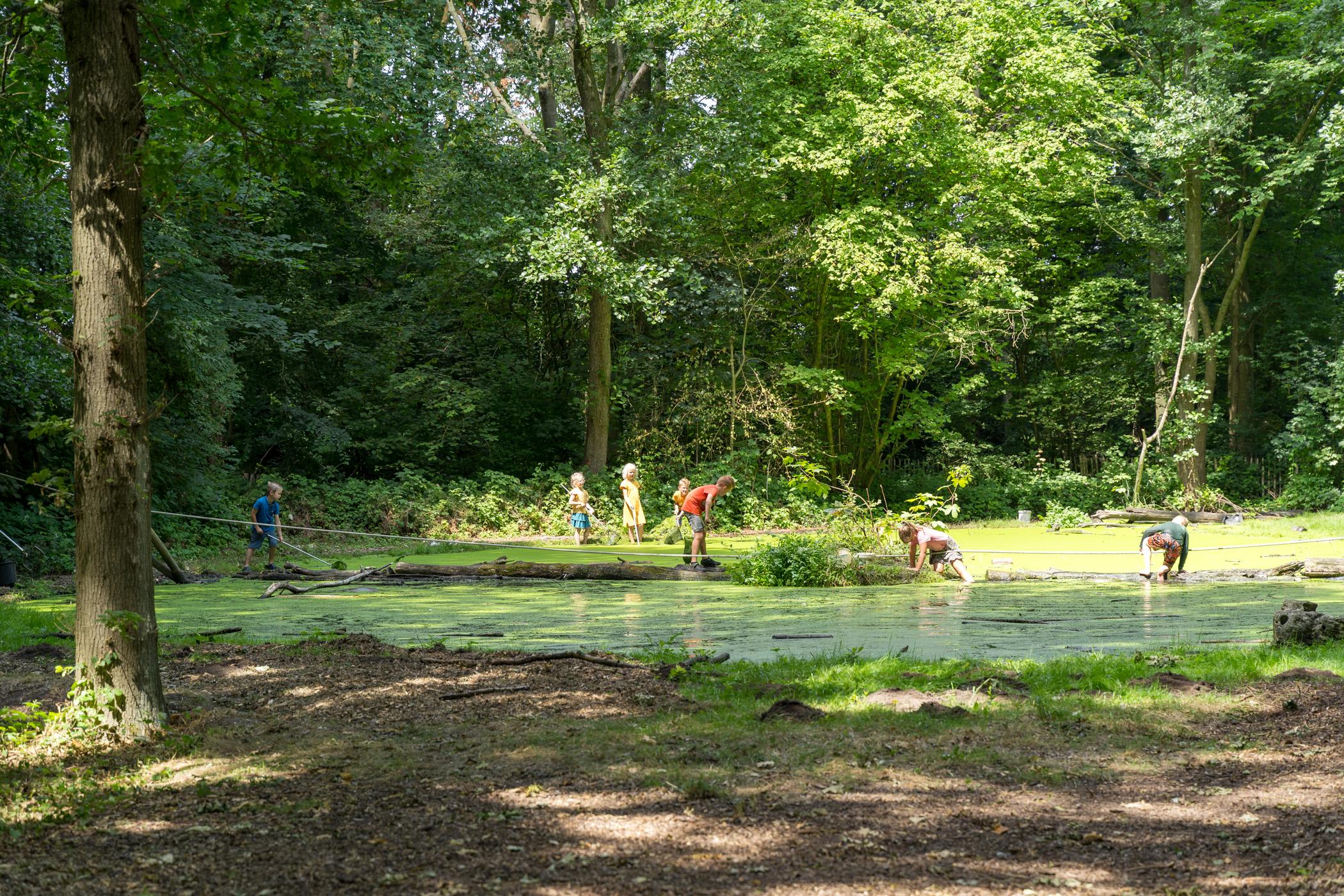 Natuurspeelbos de Boomhut