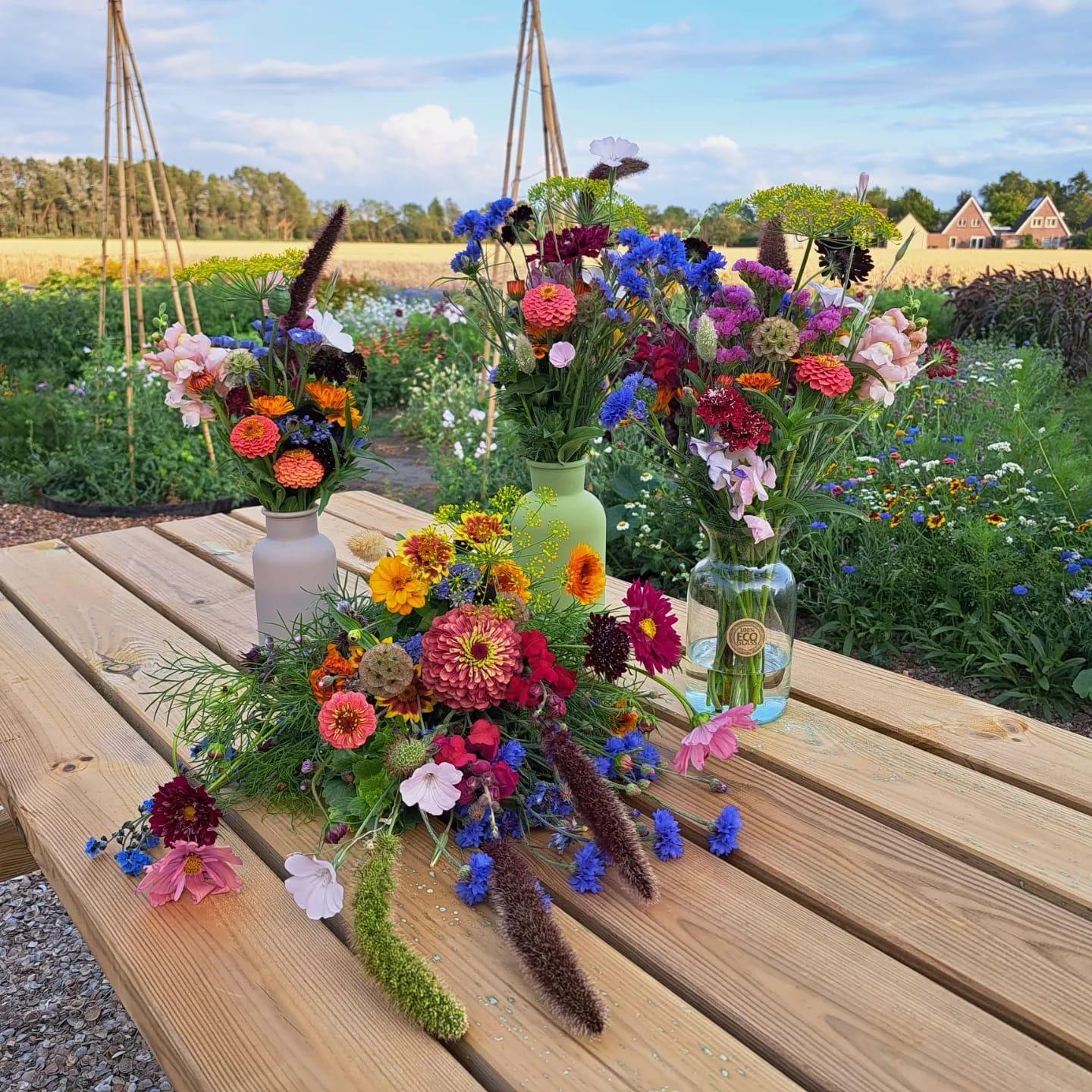 Pluktuin De Pompoenwinkel Geersdijk