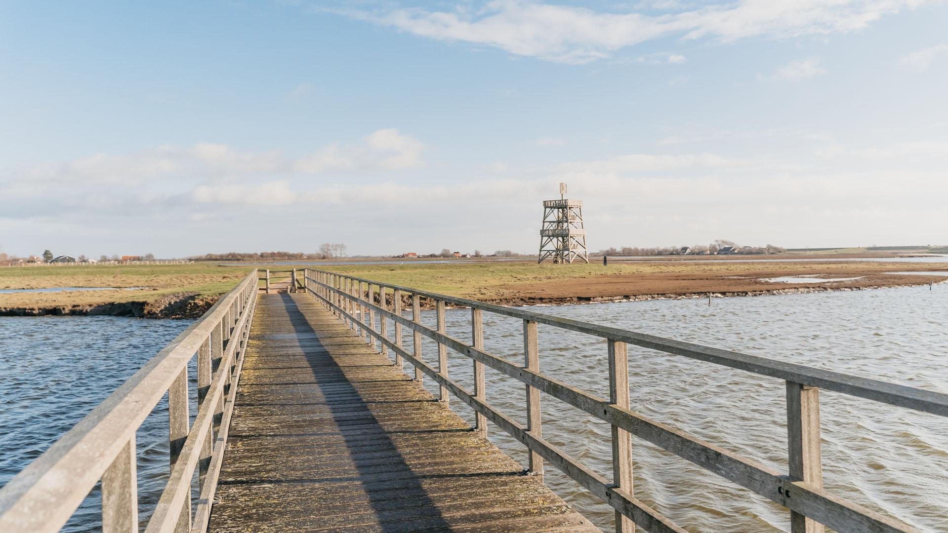 Prunjepolder Kerkwerve