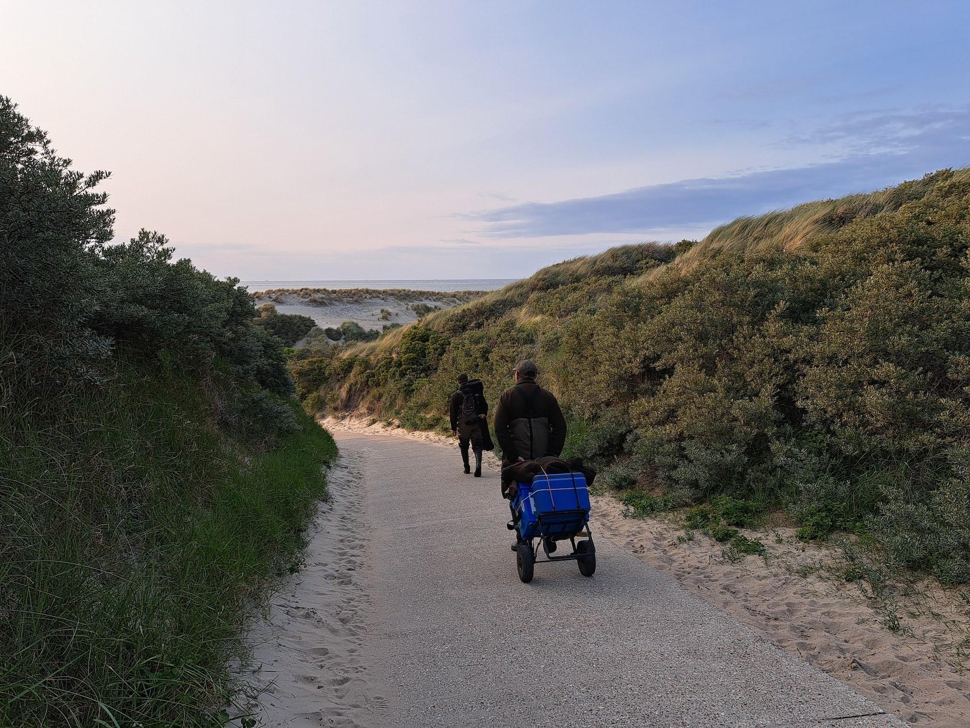 Strandvissen Zeeland