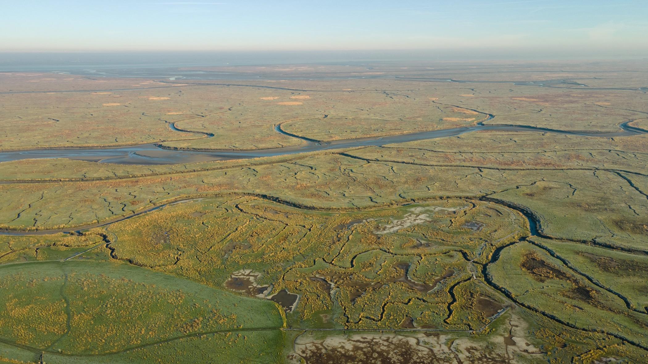 Verdronken Land van Saeftinghe