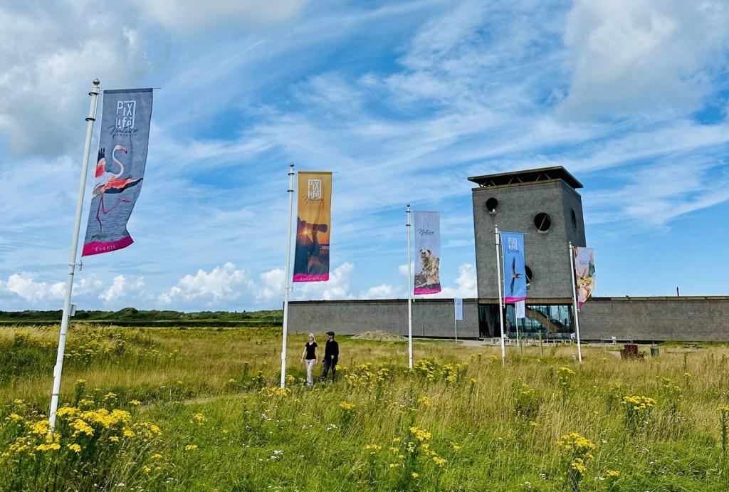 Pixlife Nature Experience Grevelingen ©