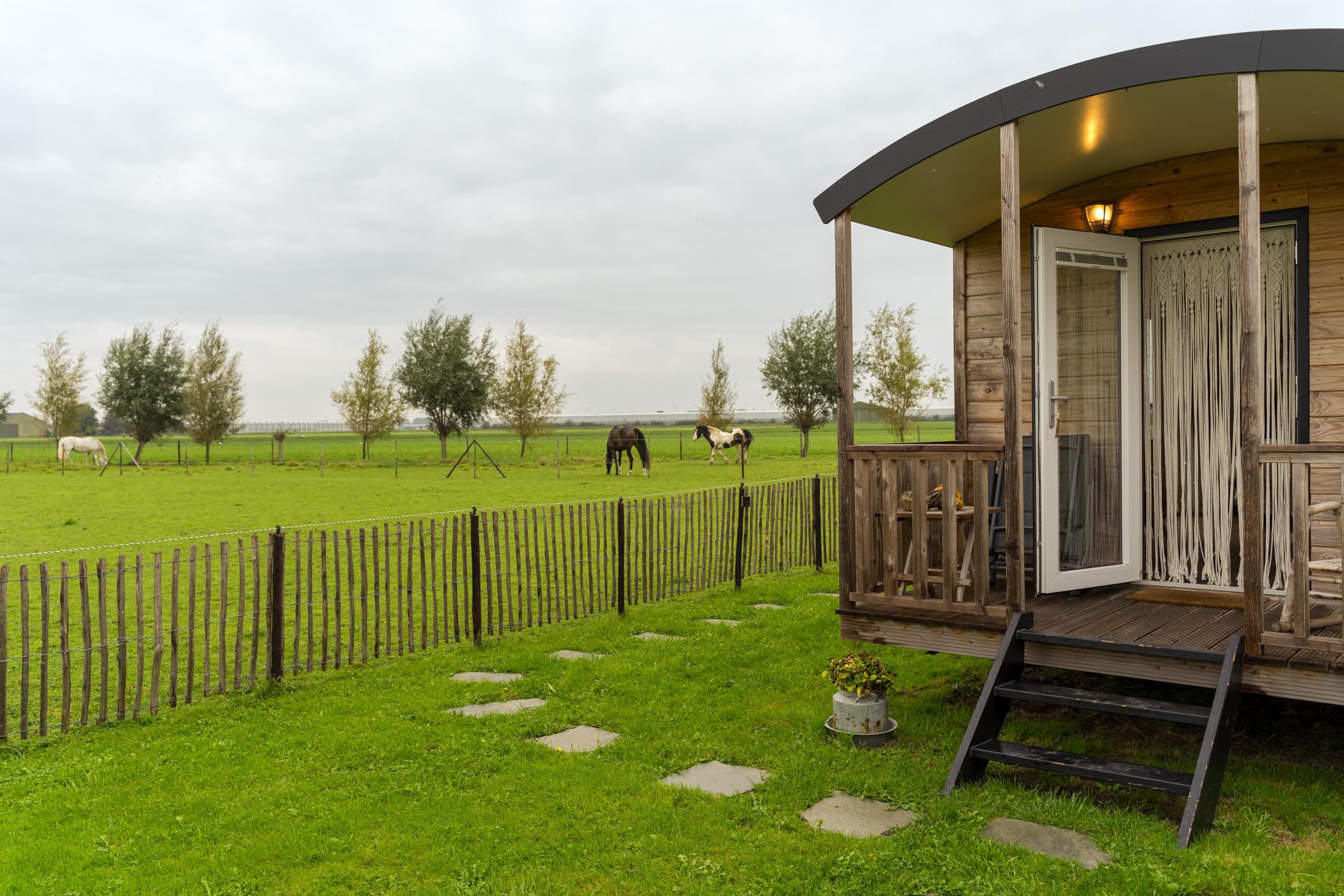 Natuurhuisje Zeeland - De Polderwerff
