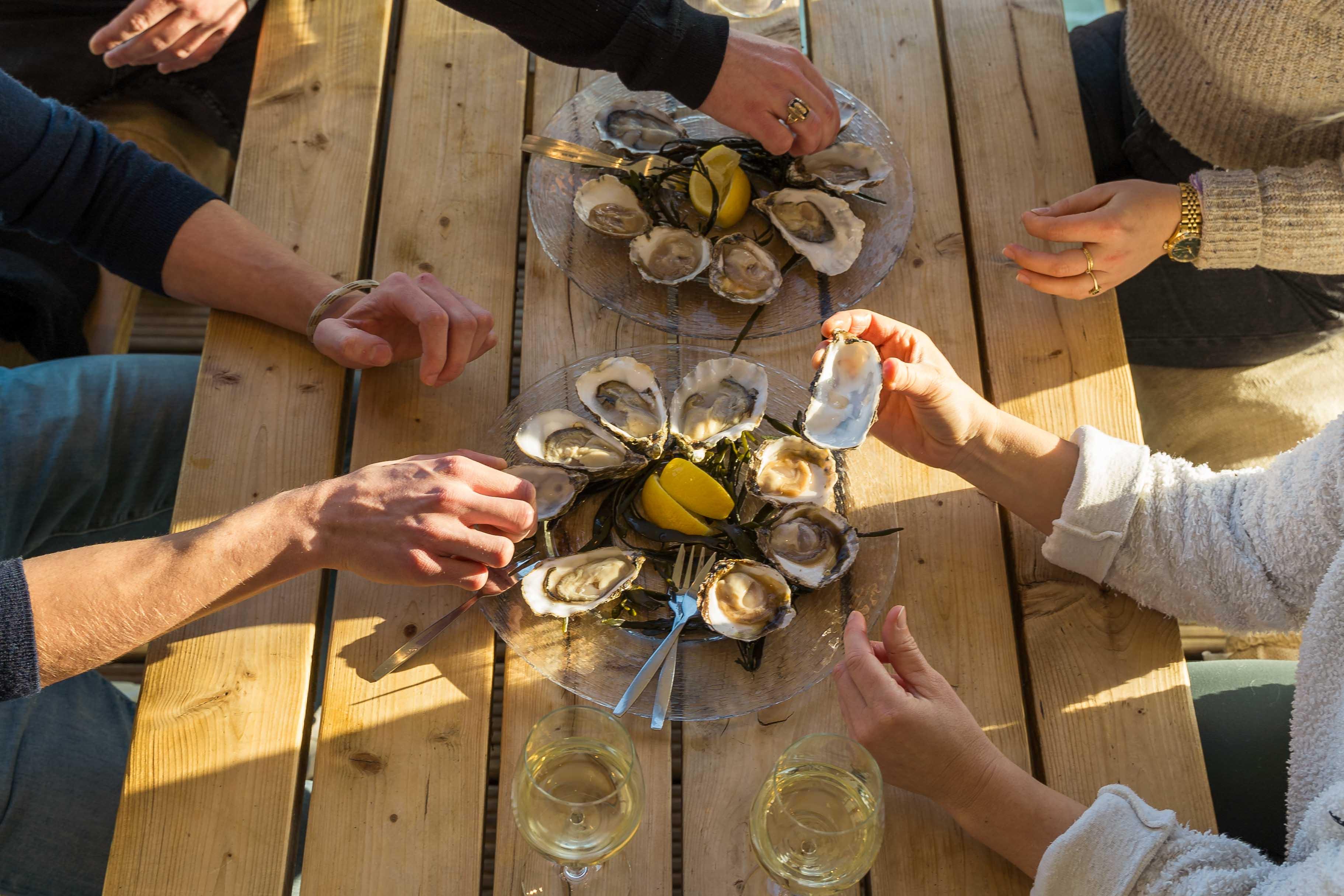 Oesters Zeeland