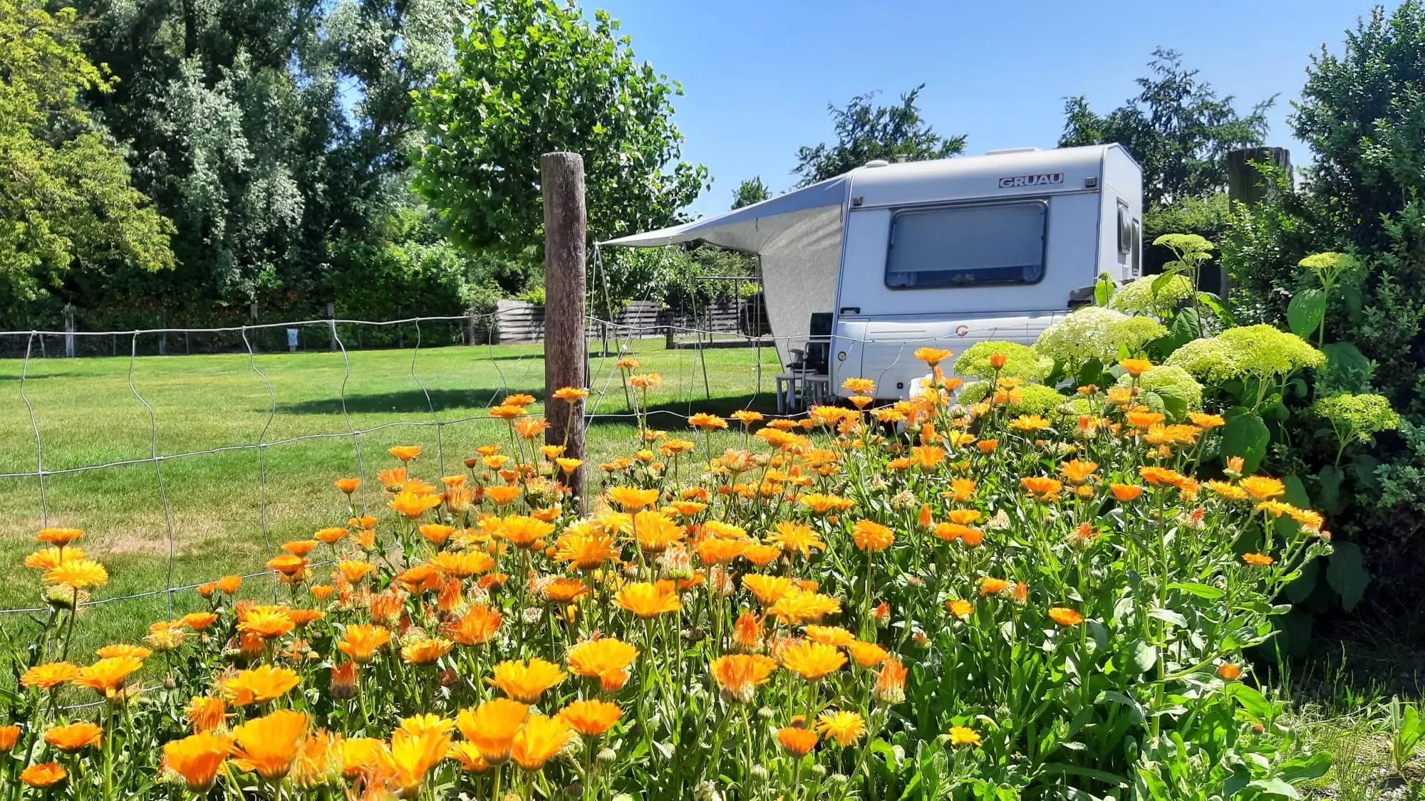 Campingplatz Zeeland